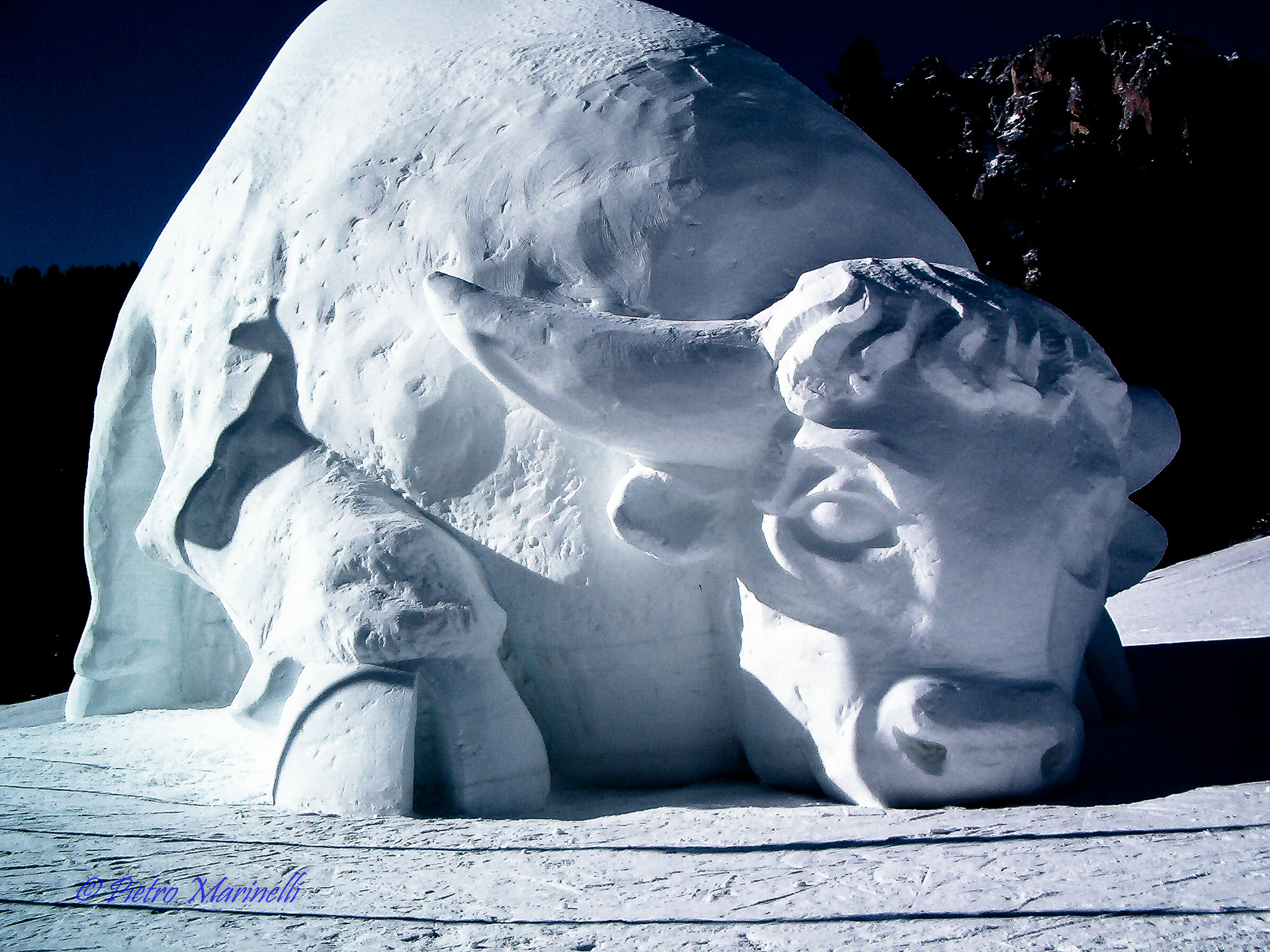 A limousine in a white week