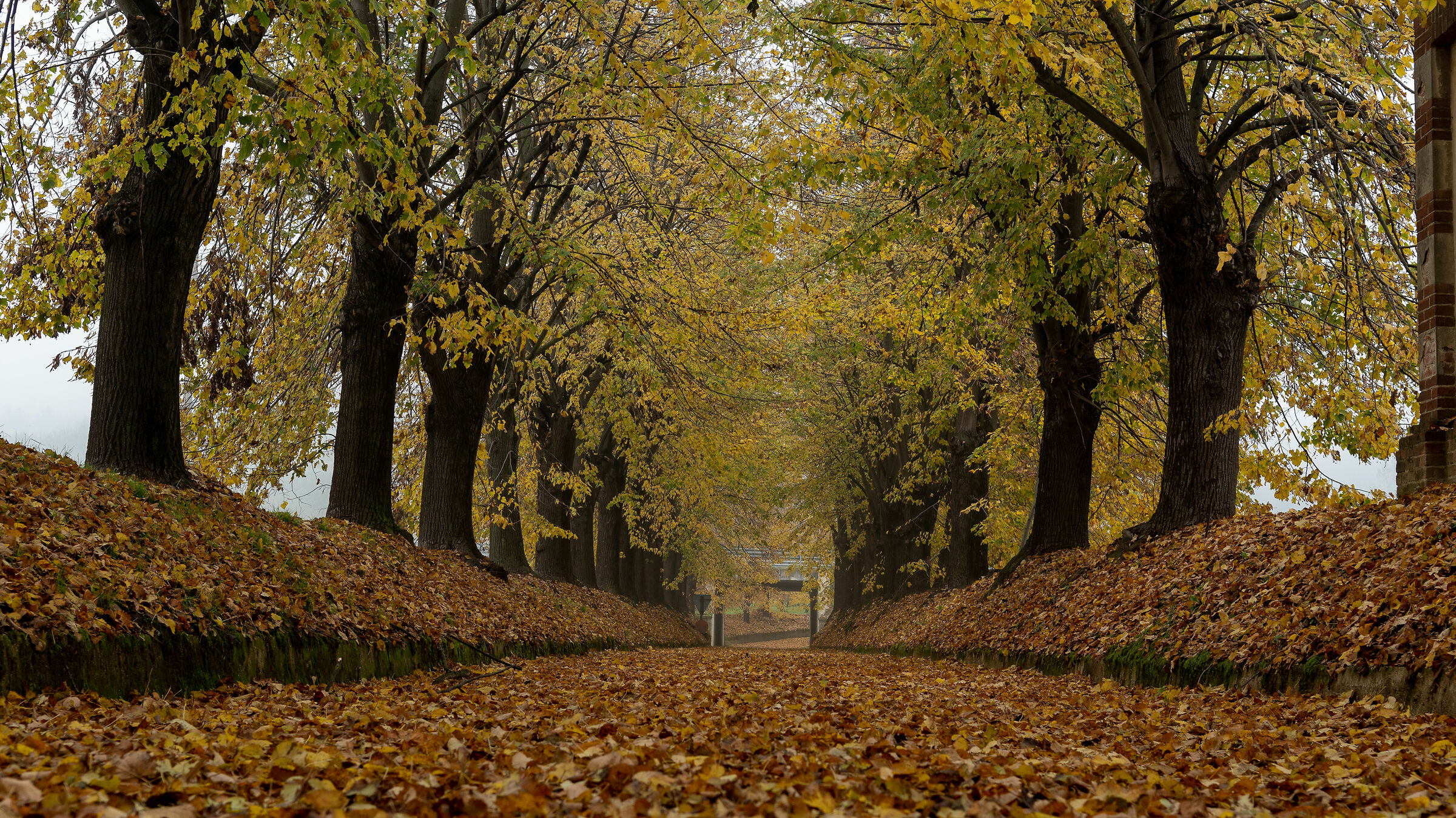 colori autunno Monferrato