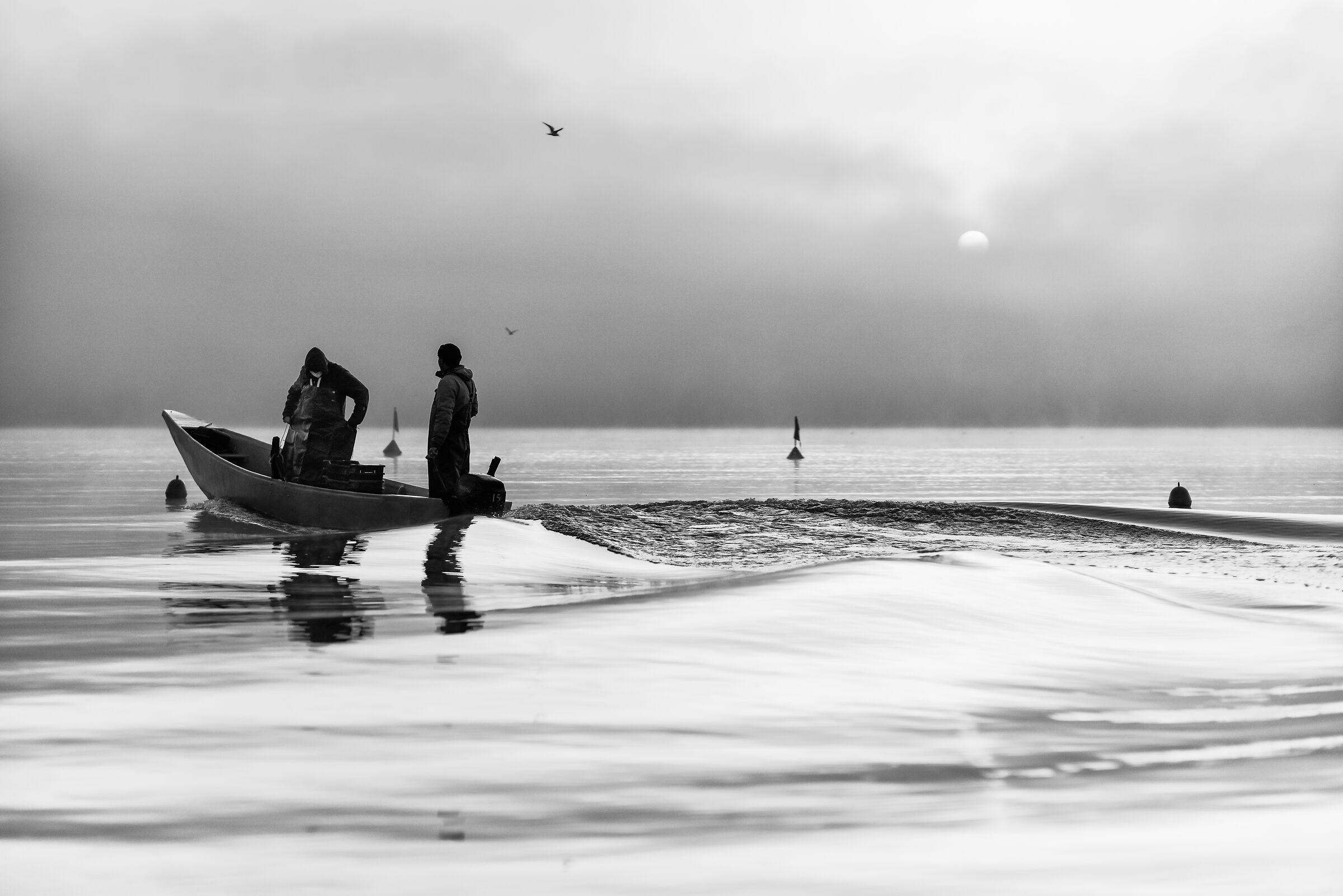 " L'alba dove finisce la nebbia "