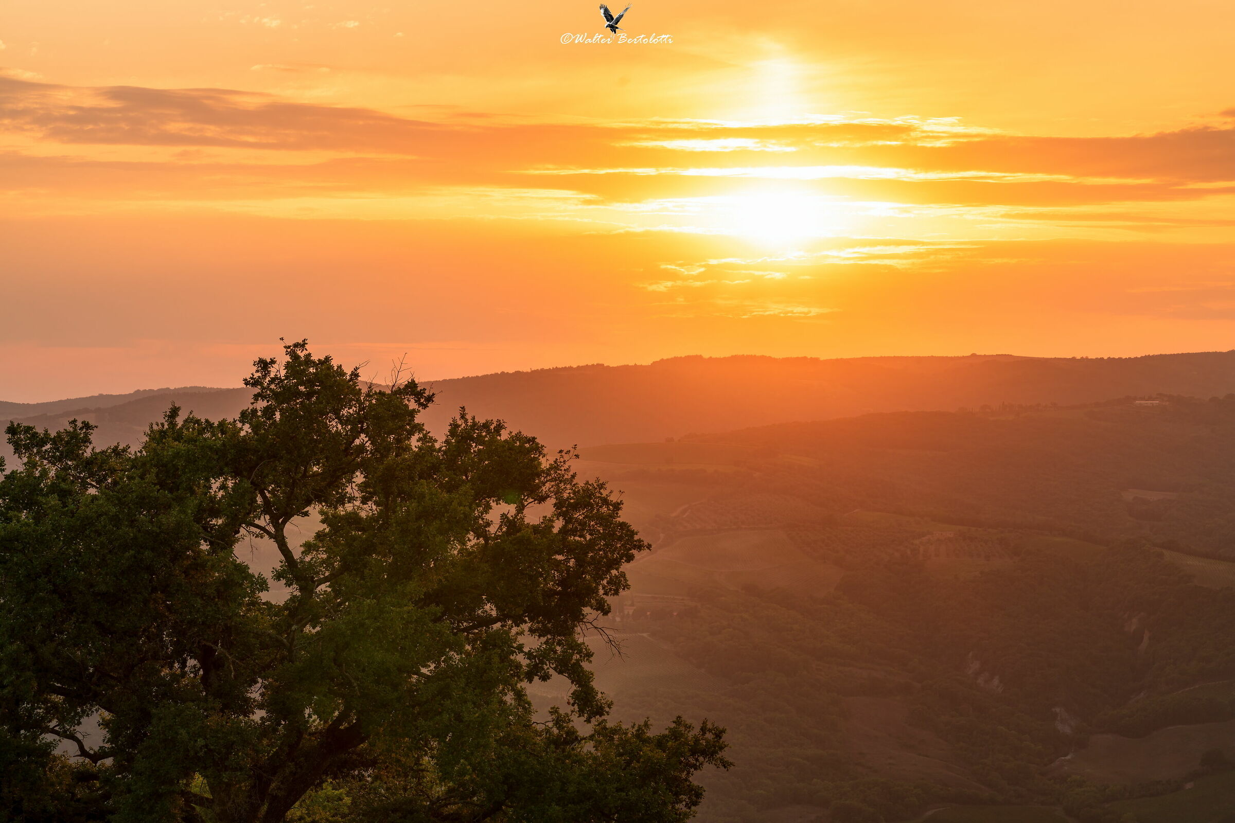 sunset in the valley