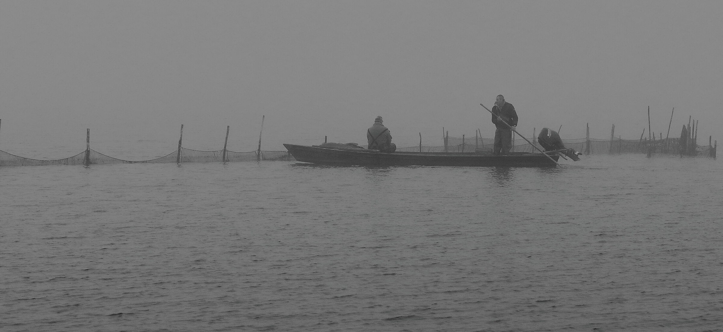 ...acqua, nebbia e duro lavoro, nelle valli del delta..