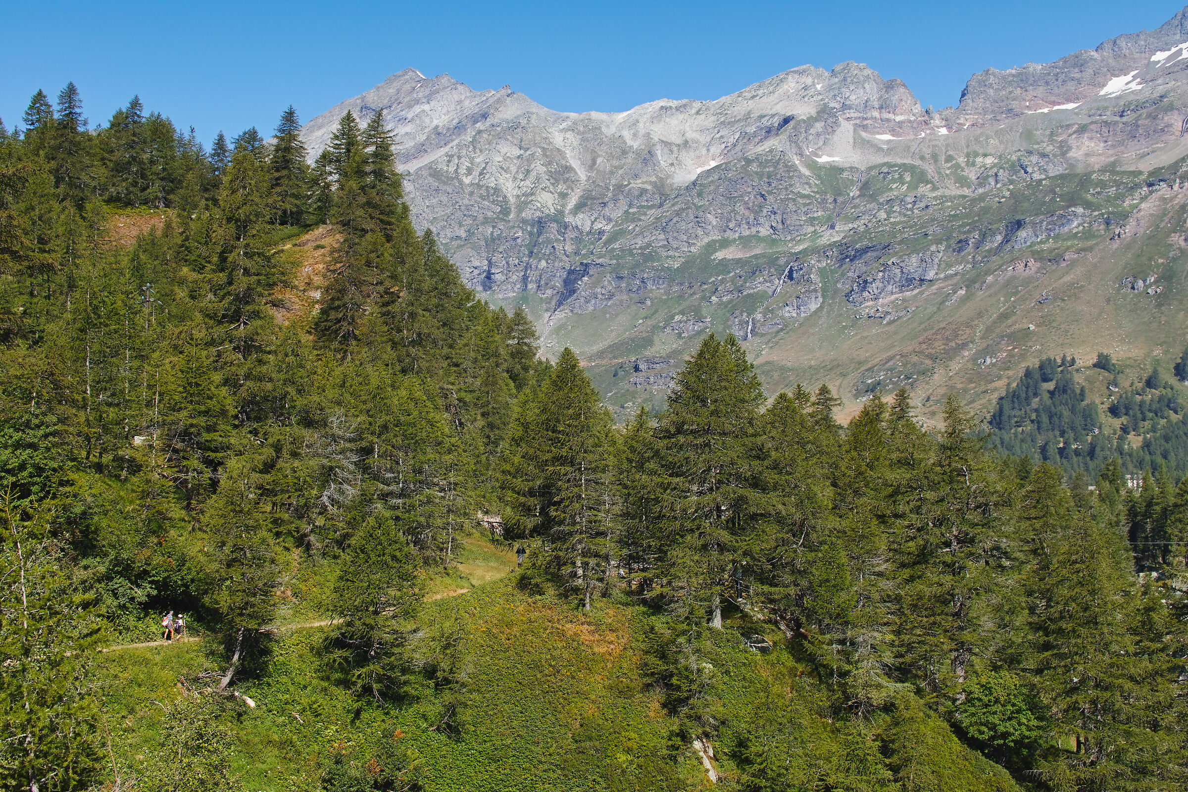 sentiero per alpe veglia