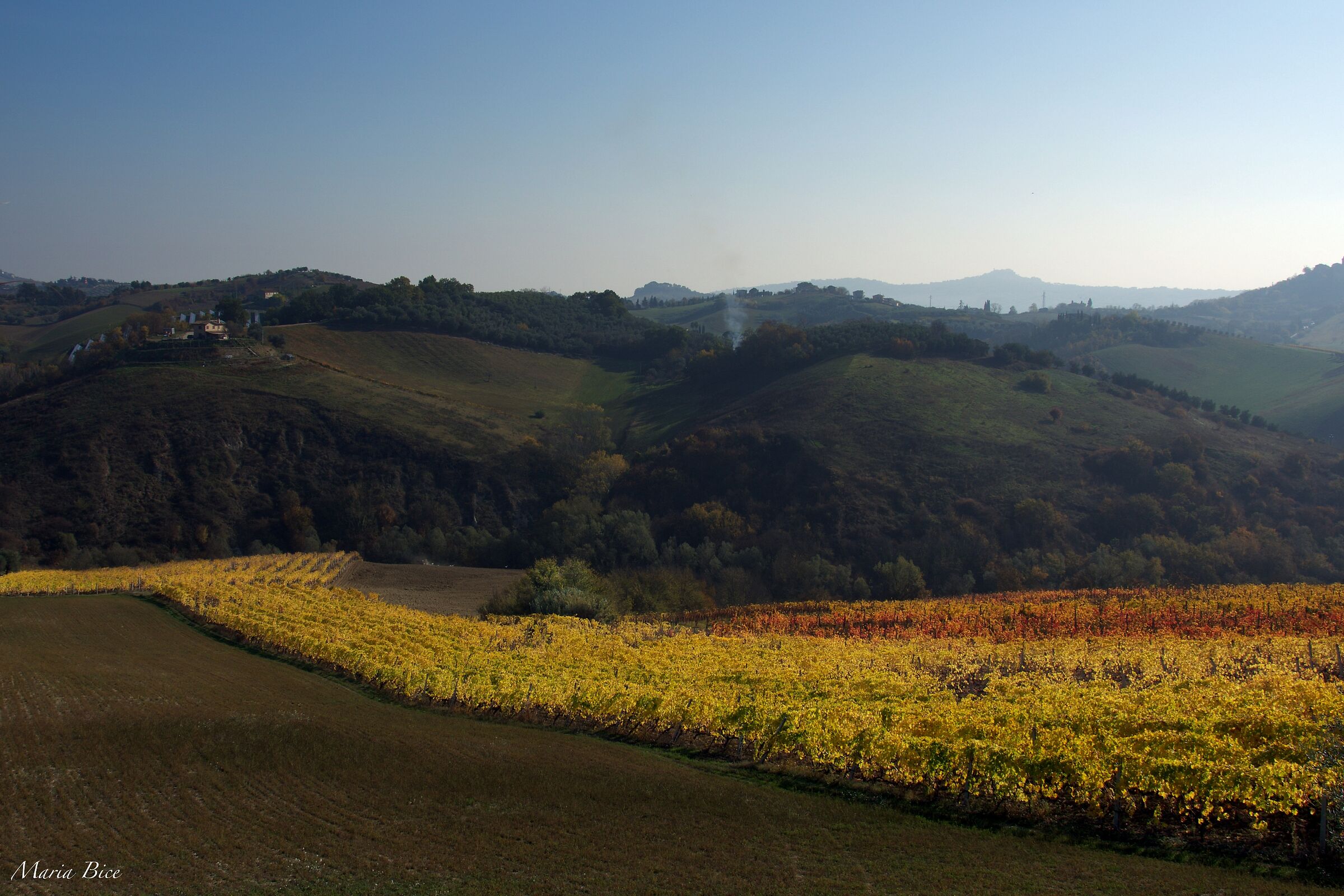 Maria Bice e la sua prima foto su Juza