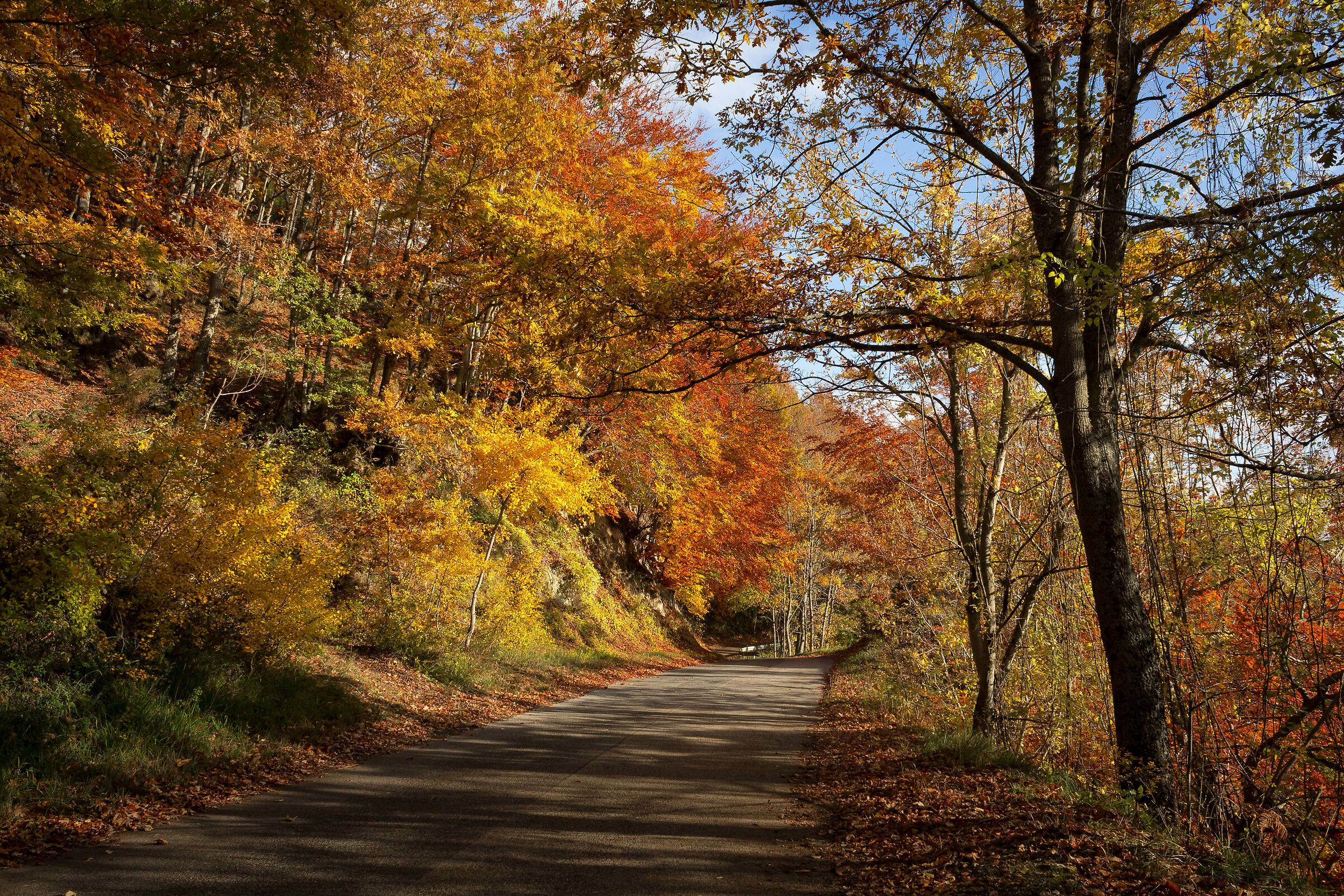 Autunno a Sante Marie