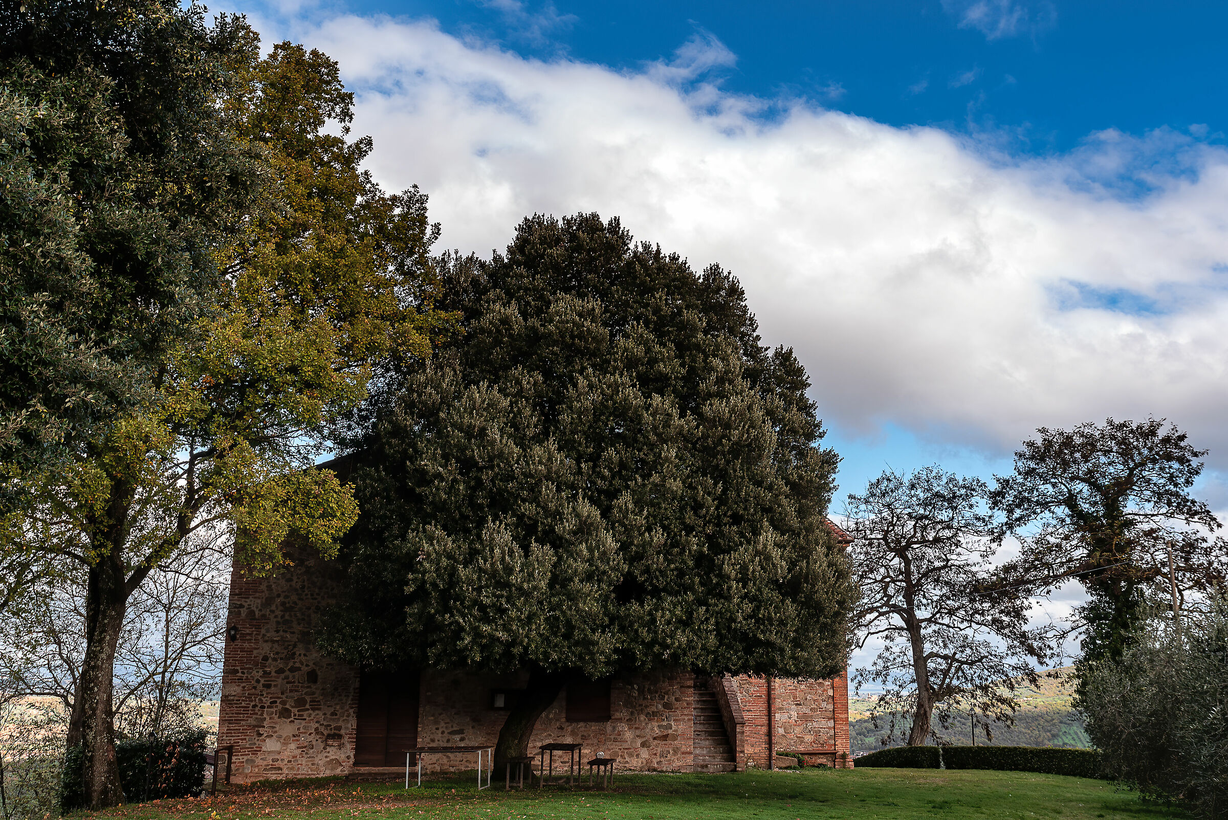 chiesa s.biagio citta' della pieve