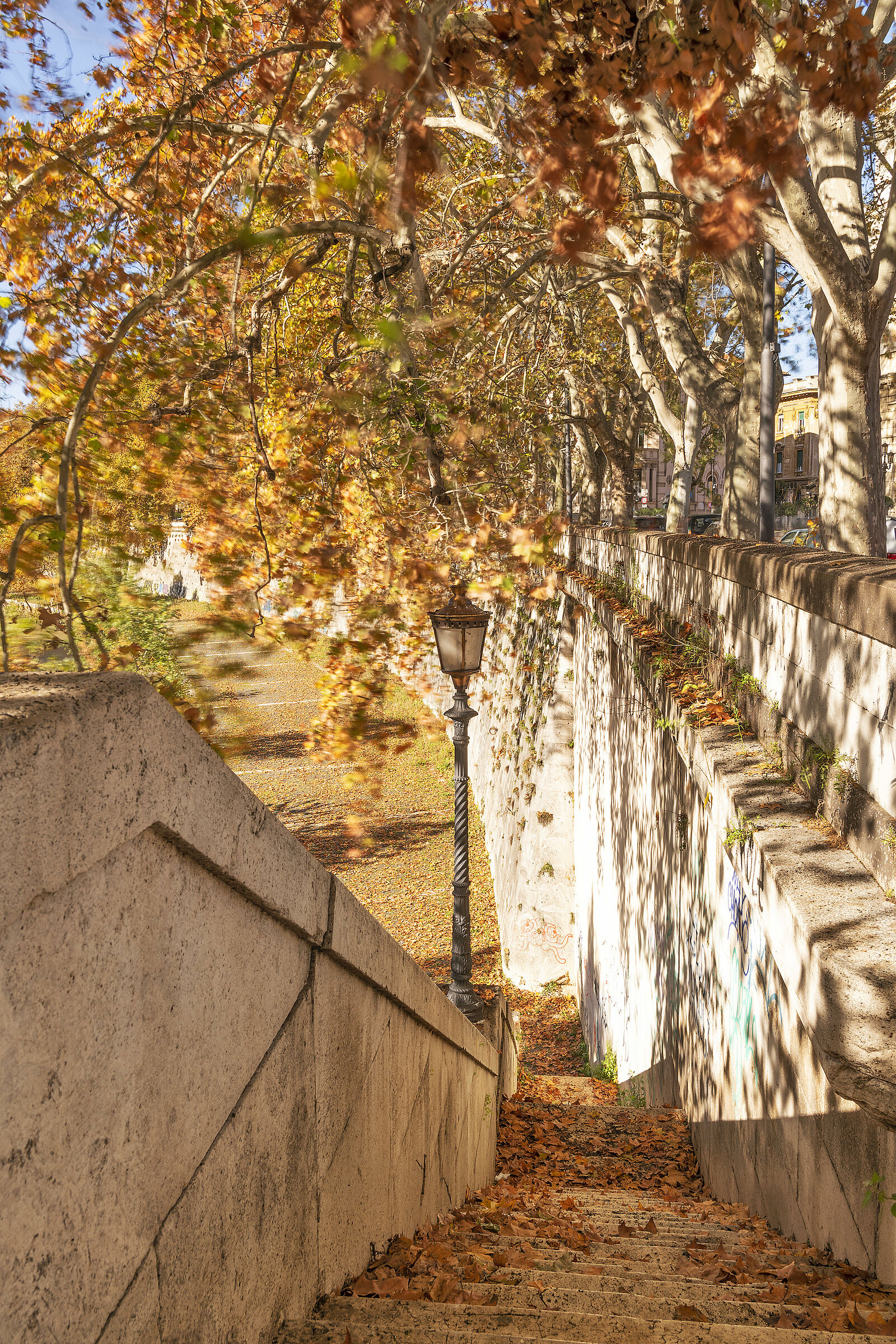 Autumn in Rome.