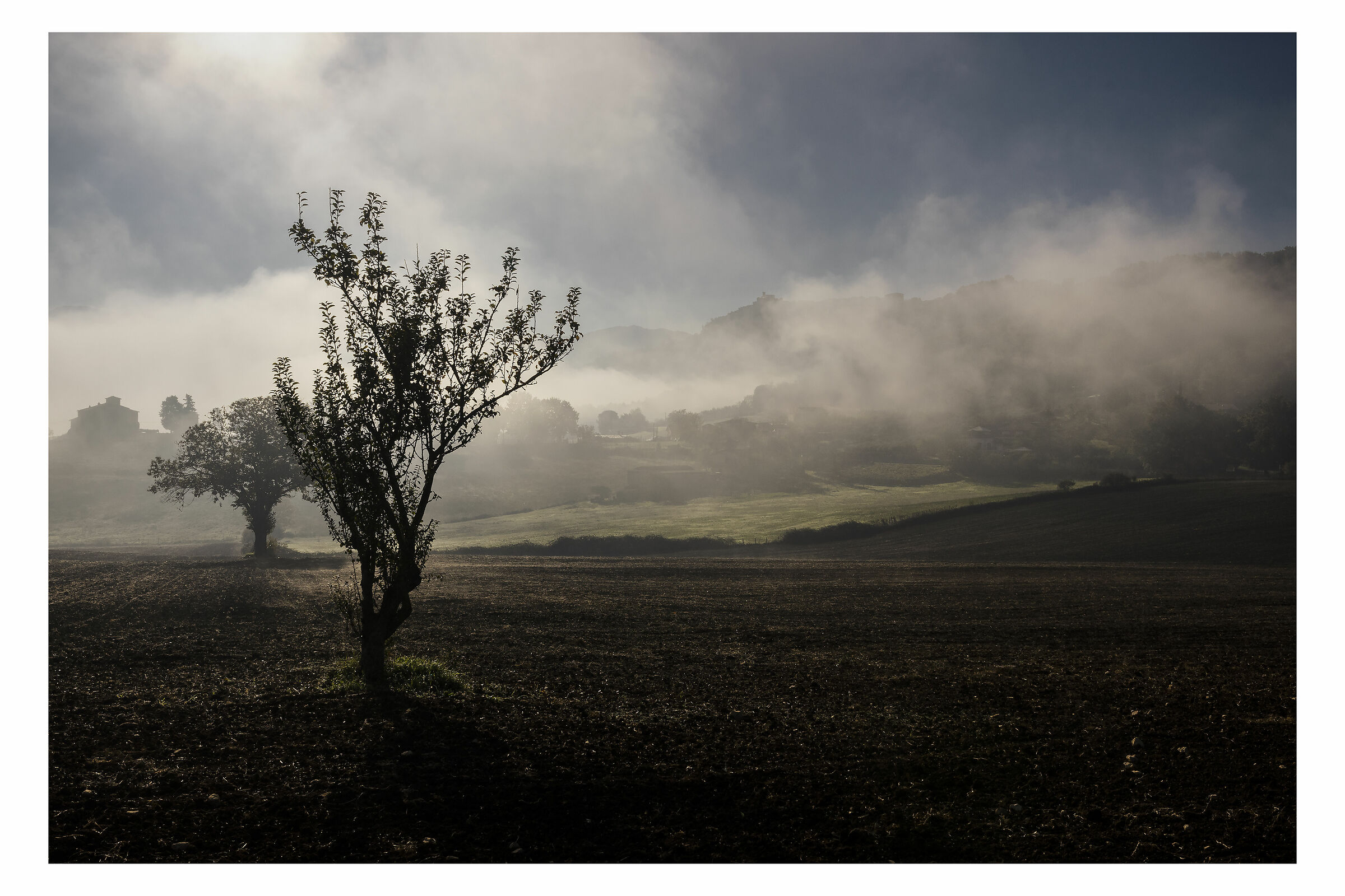 And the mists thinned out