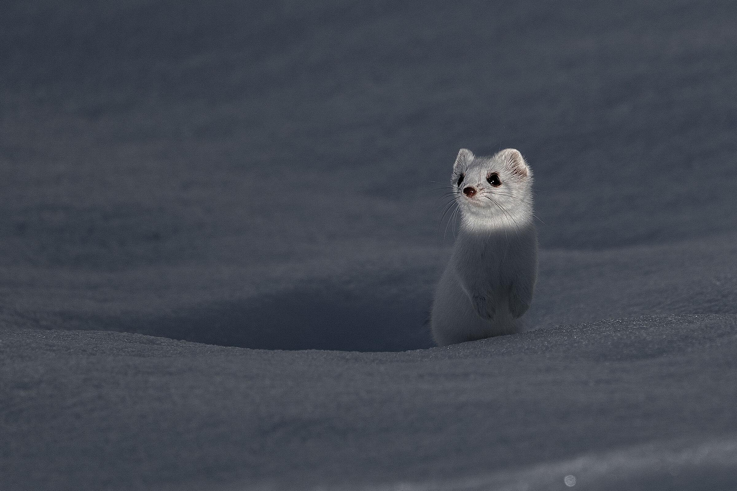 Luce sul protagonista