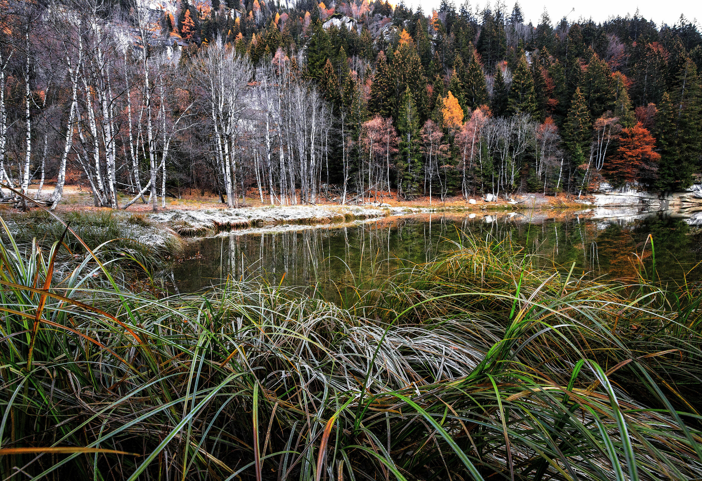 Mattino autunnale al lago