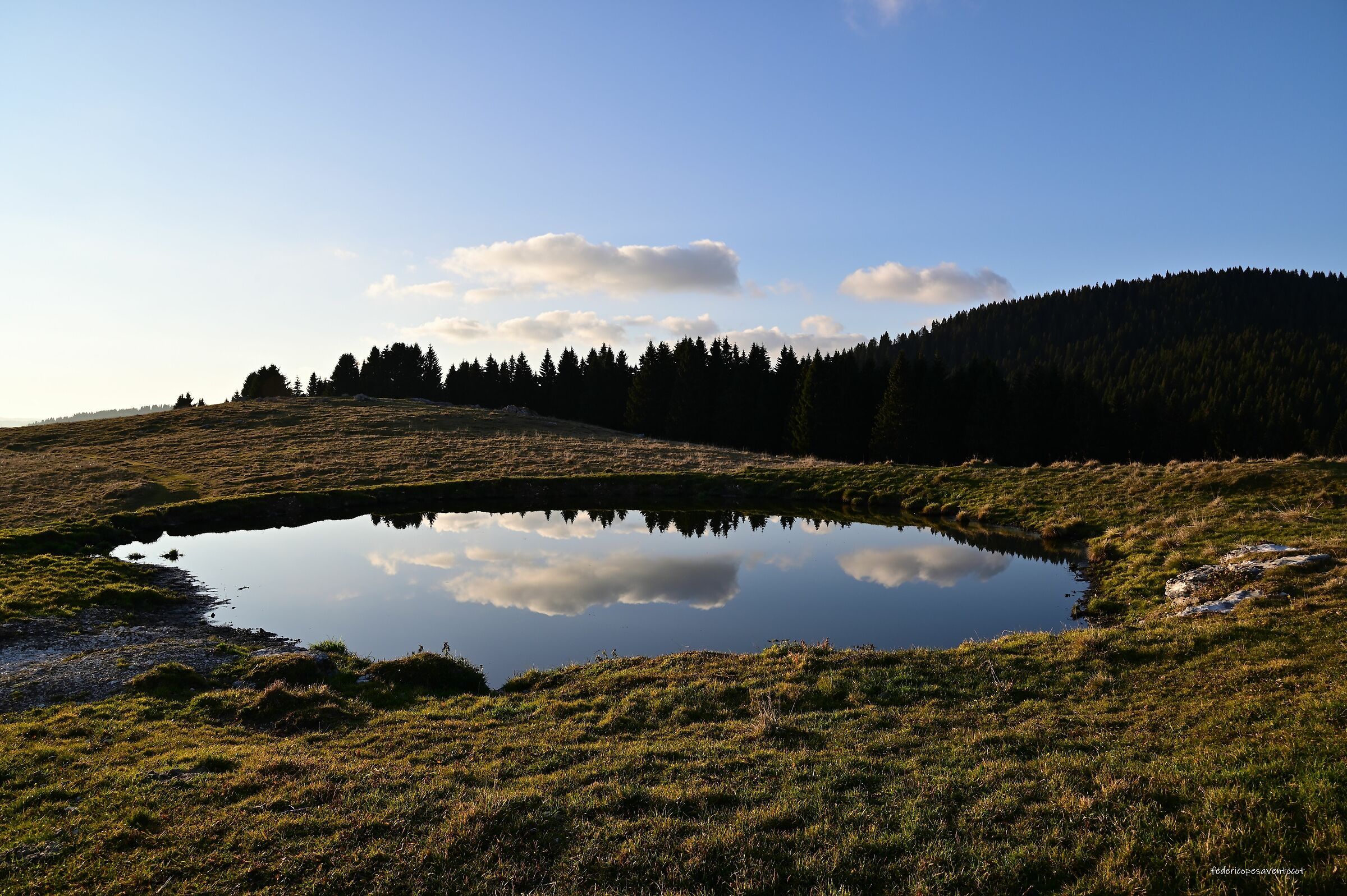 Riflessi