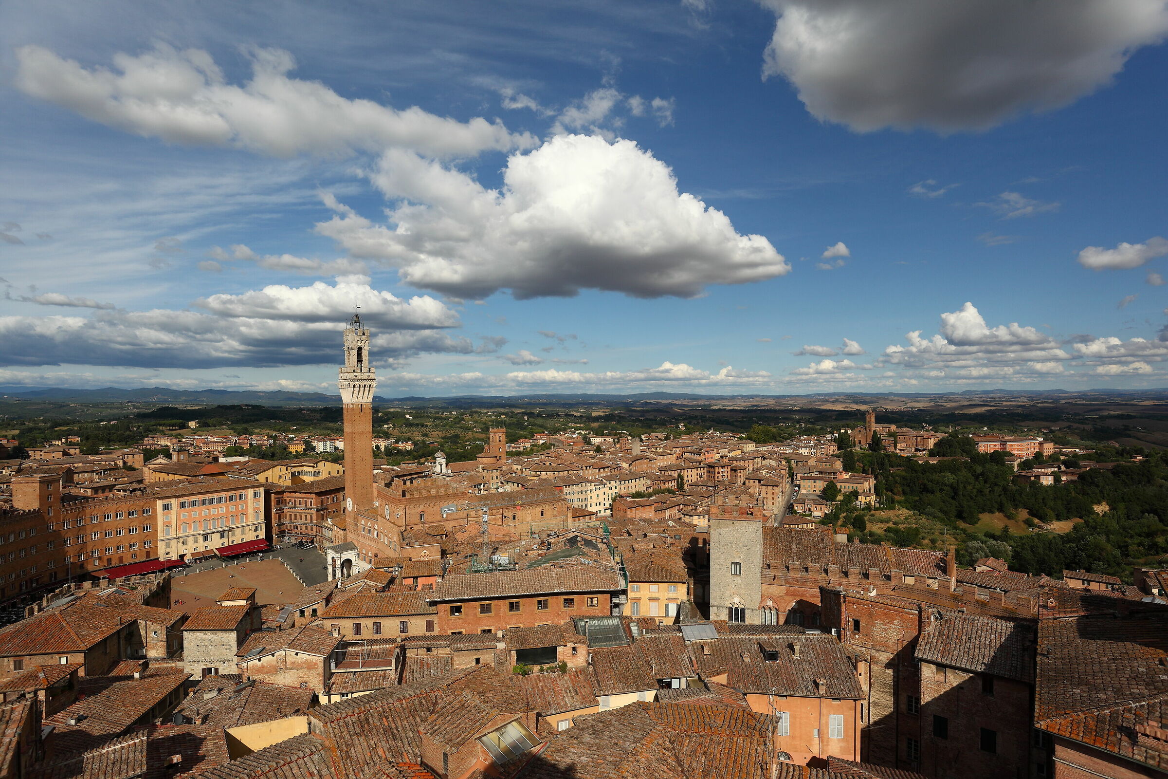 Siena from the face