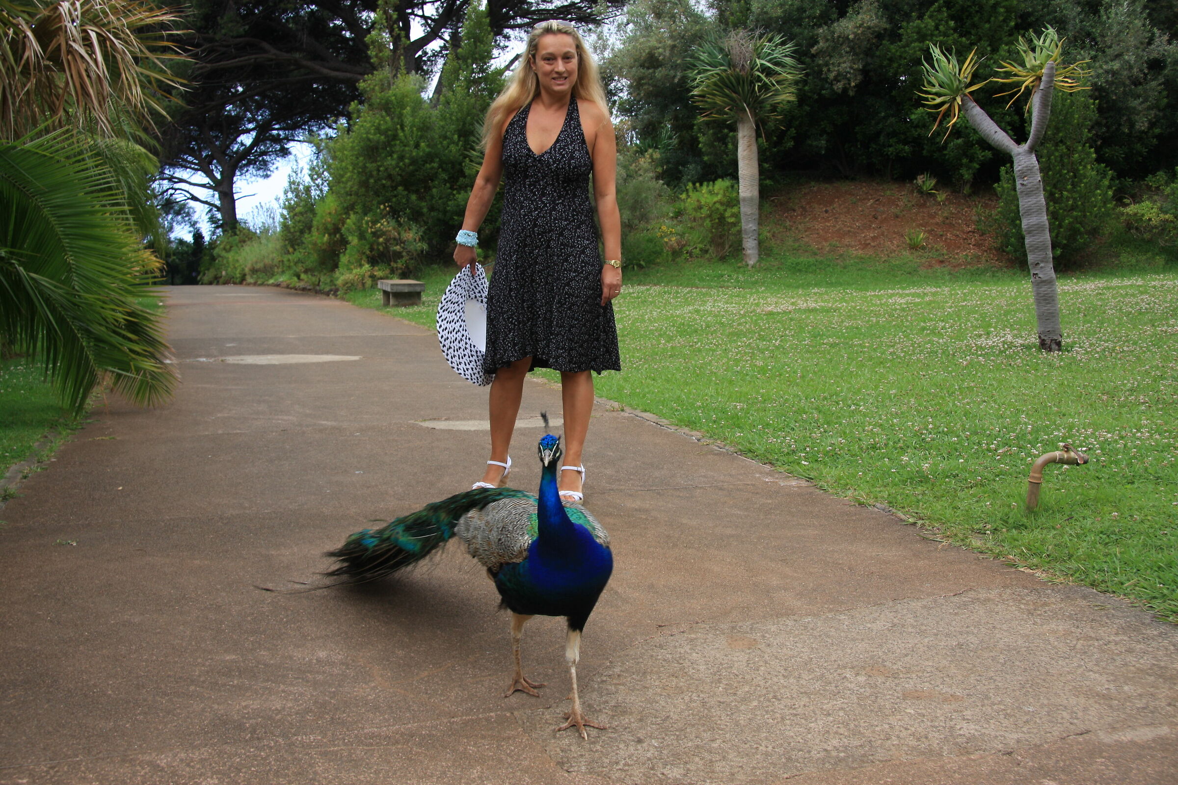 Giardino botanico di Madeira (Portogallo)