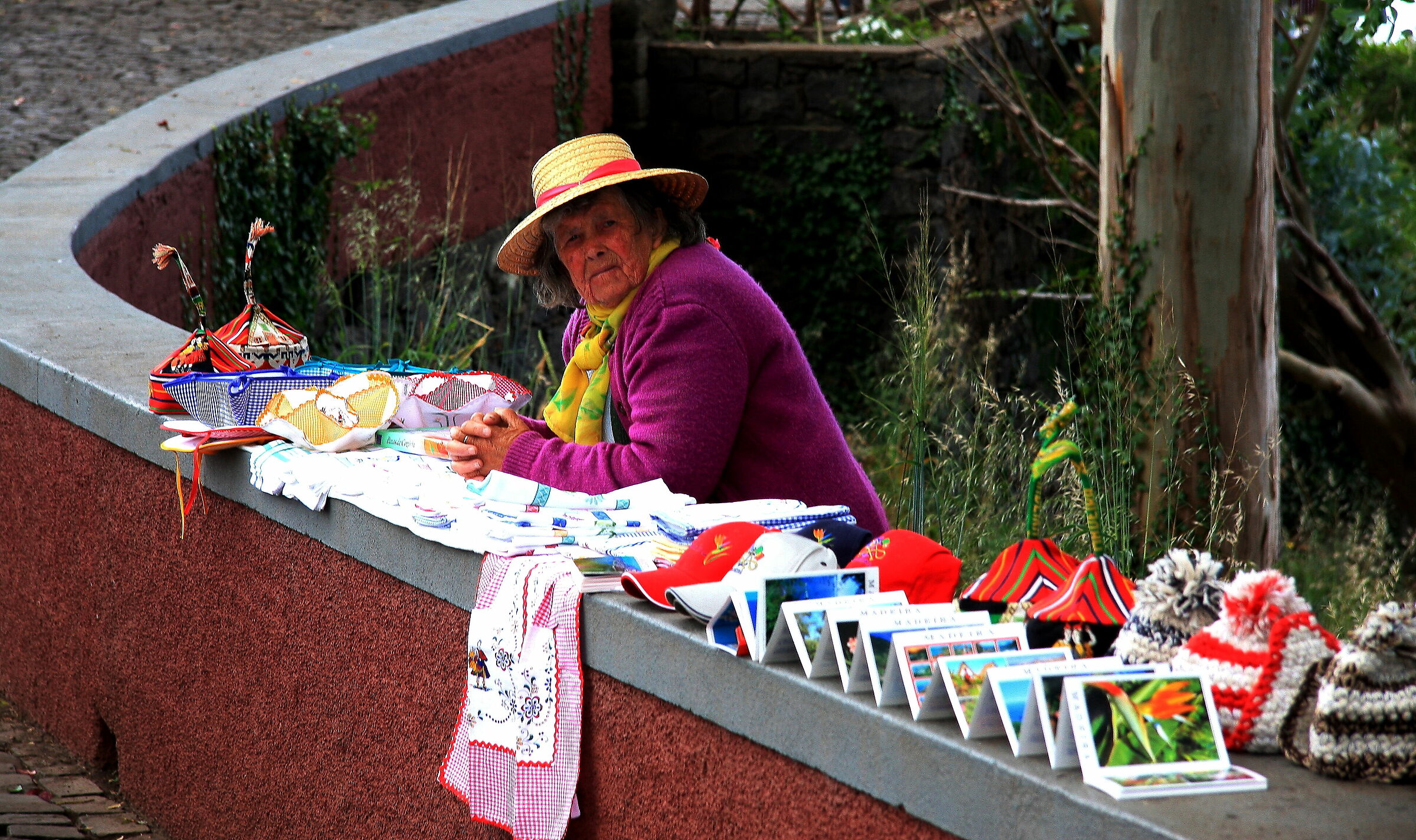 Ambulante di Madeira (portogallo)