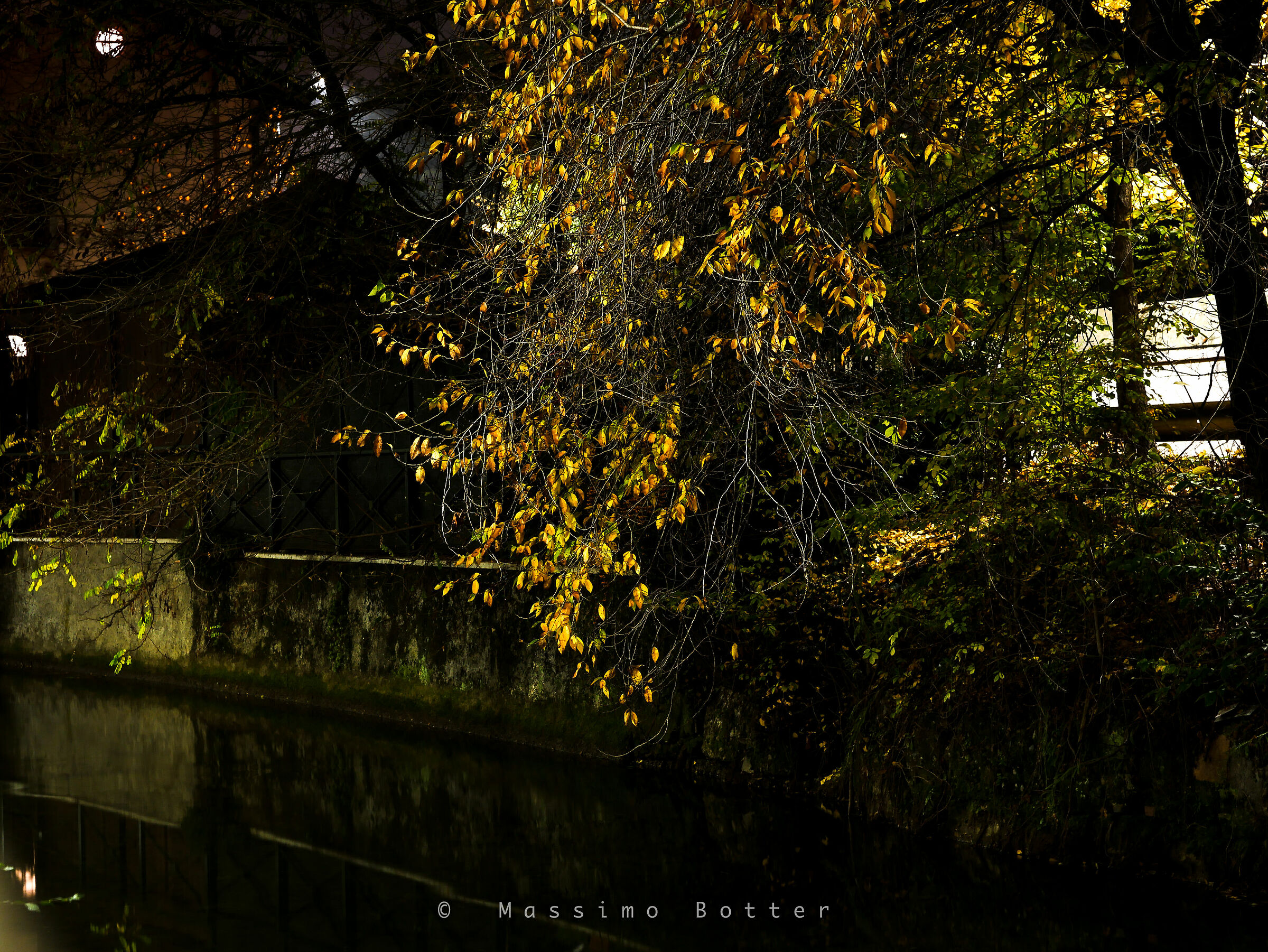 Martesana covid plants