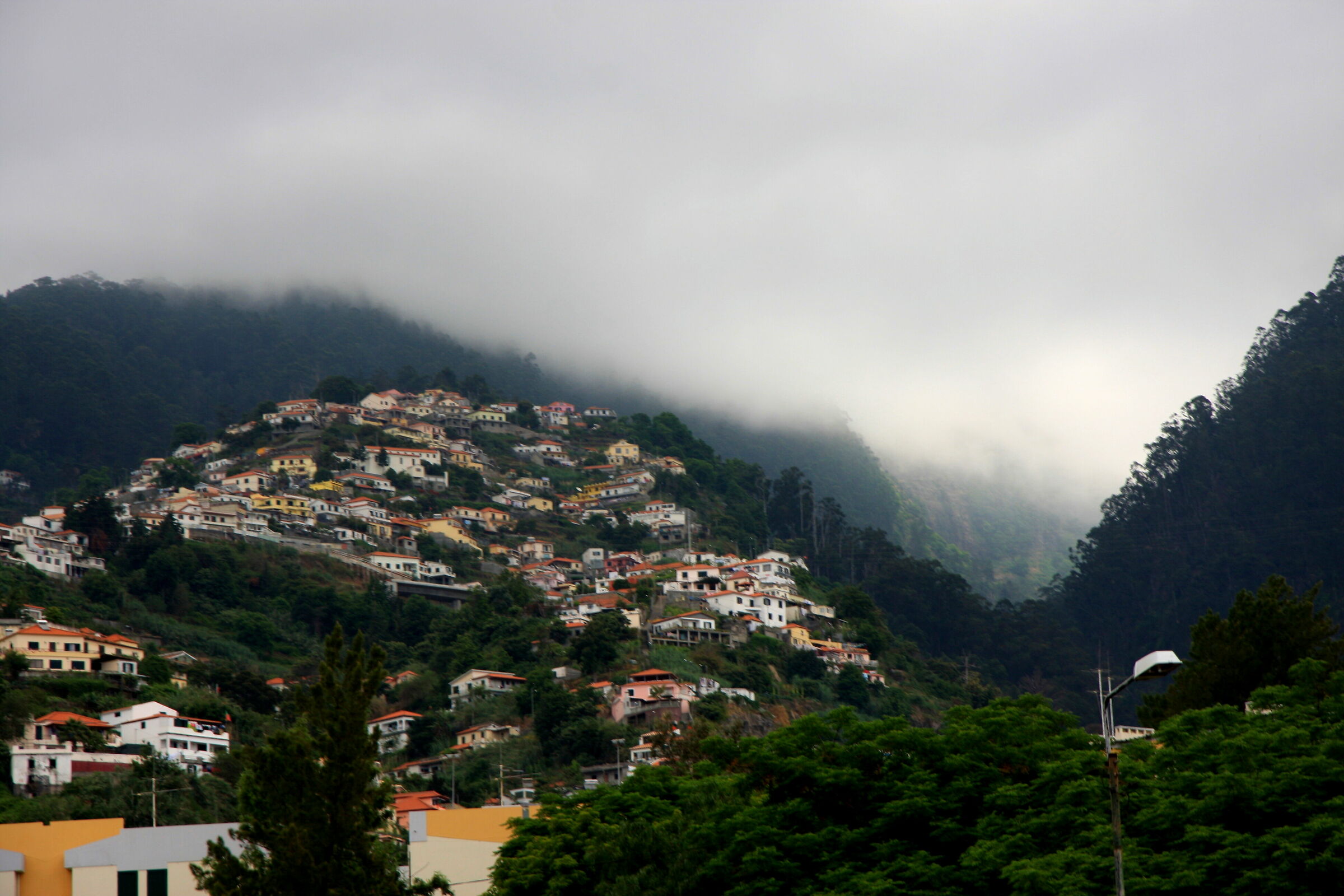 Madeira (Portogallo)