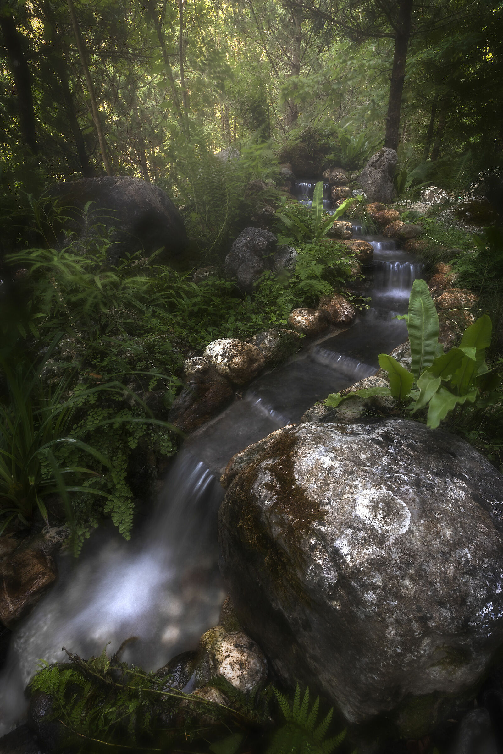 Giardino Zen - Parco del Pollino (cs)