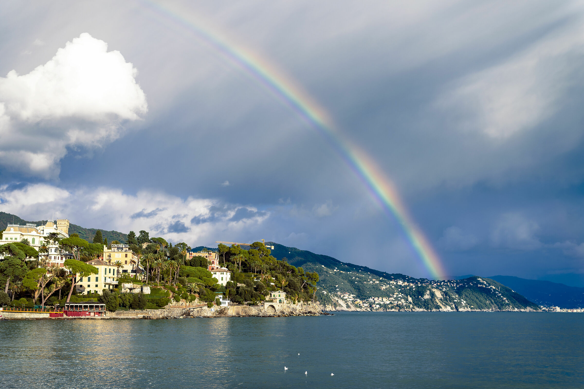 Dove sarà la pentola?