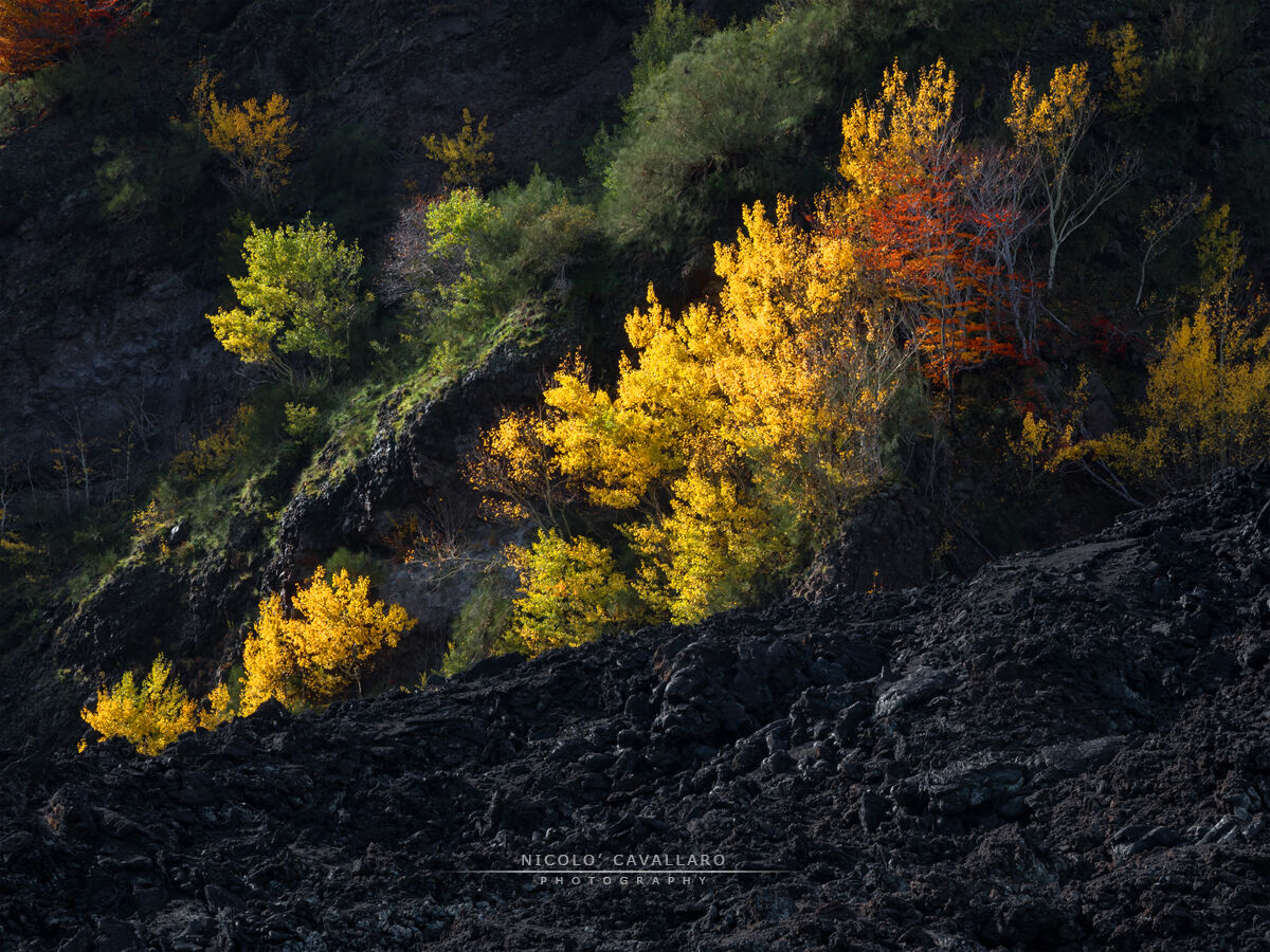 Etna - Autumn