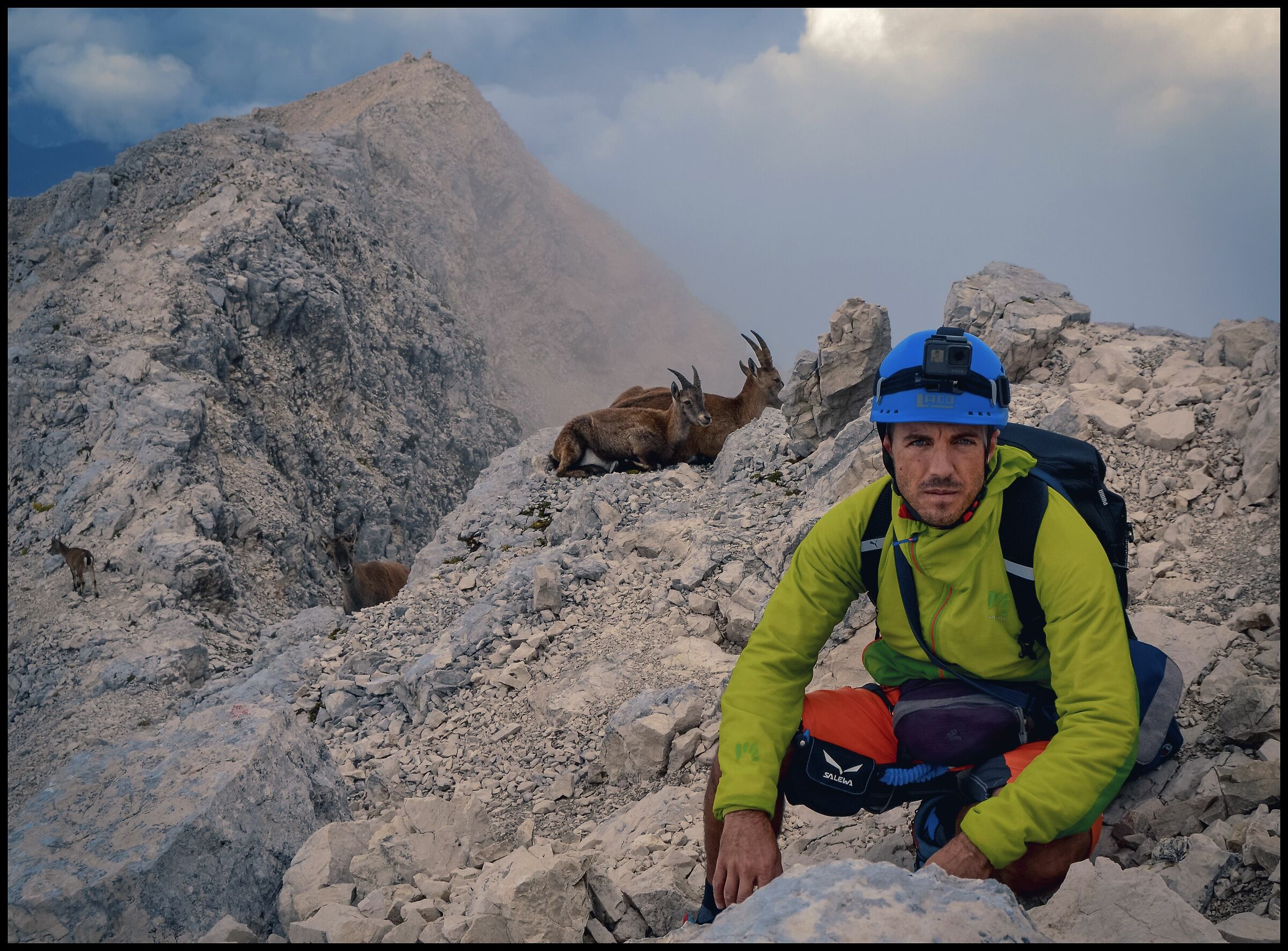 From the top of Montasio