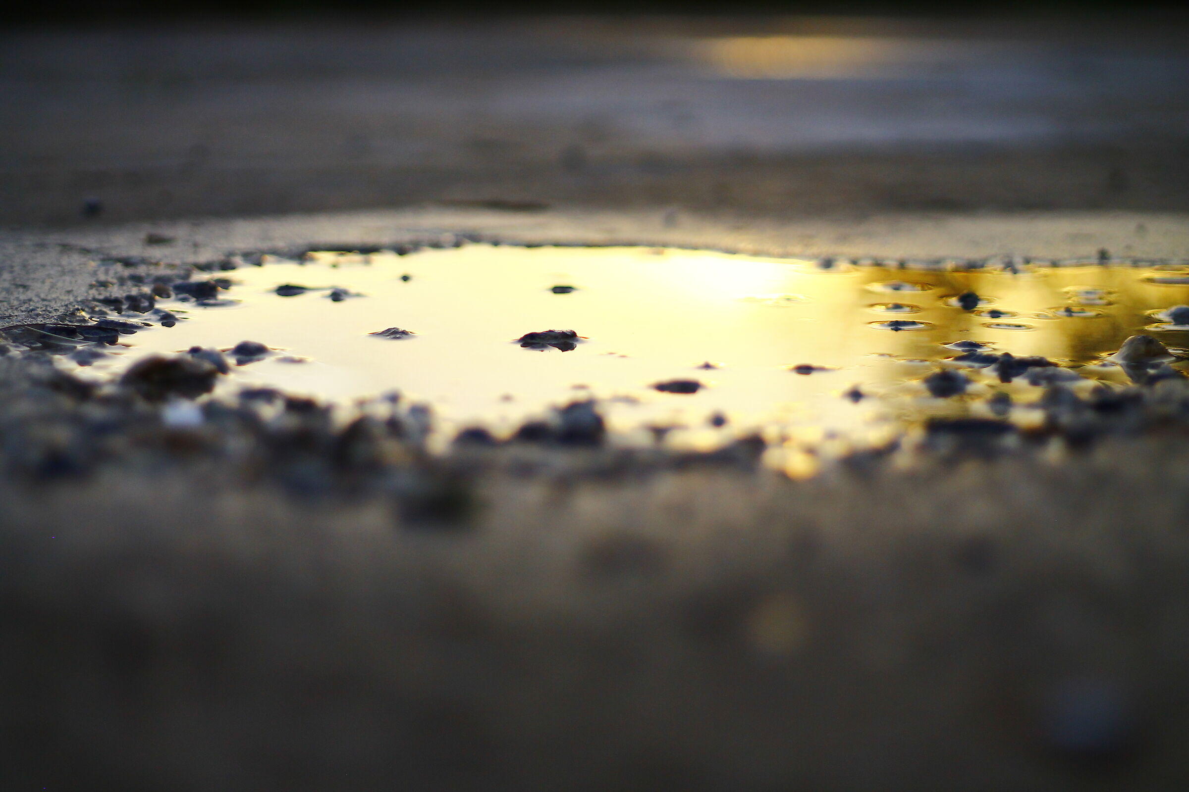 videmus nunc for speculum, in aenigmate