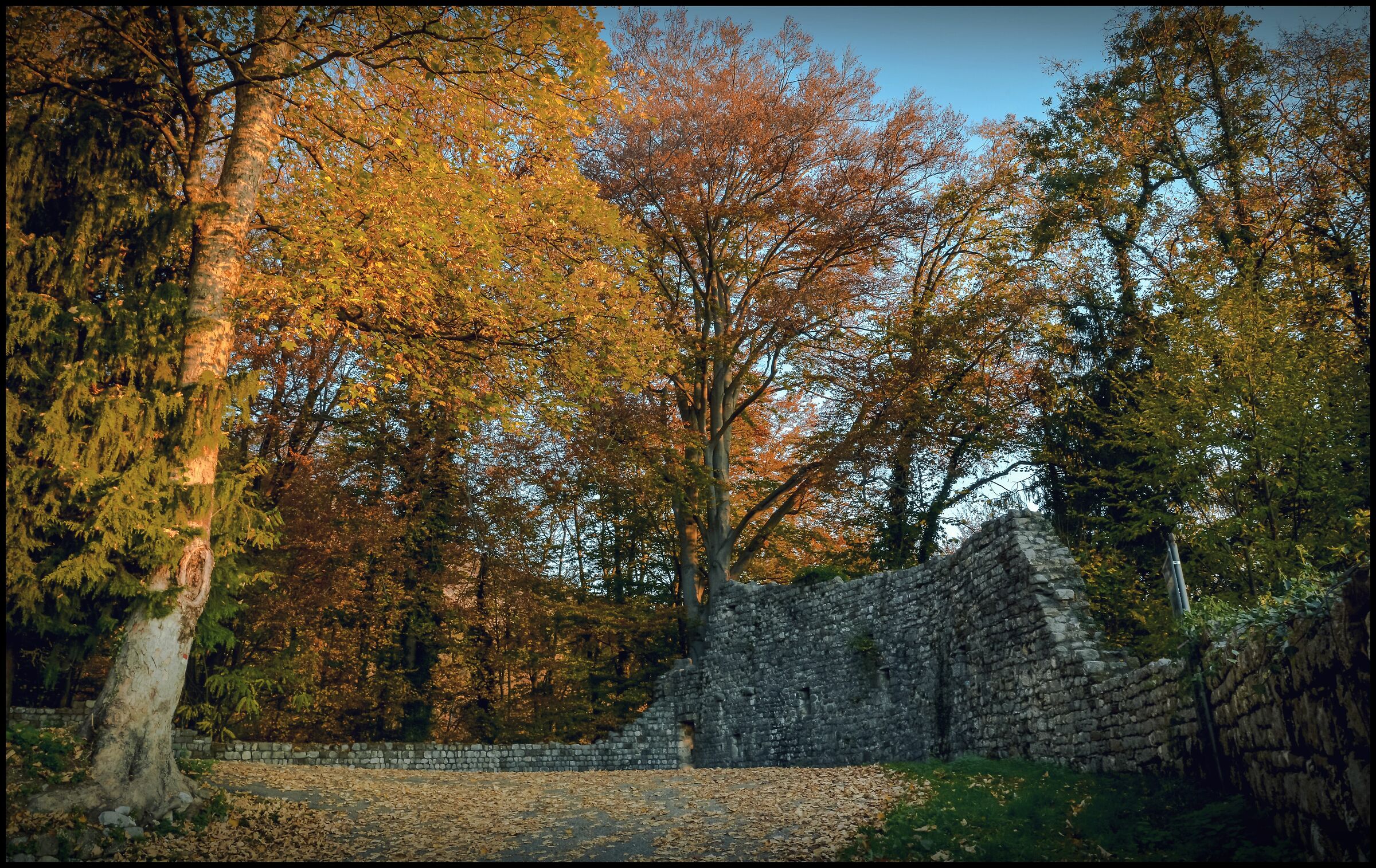 the old castle in autumn