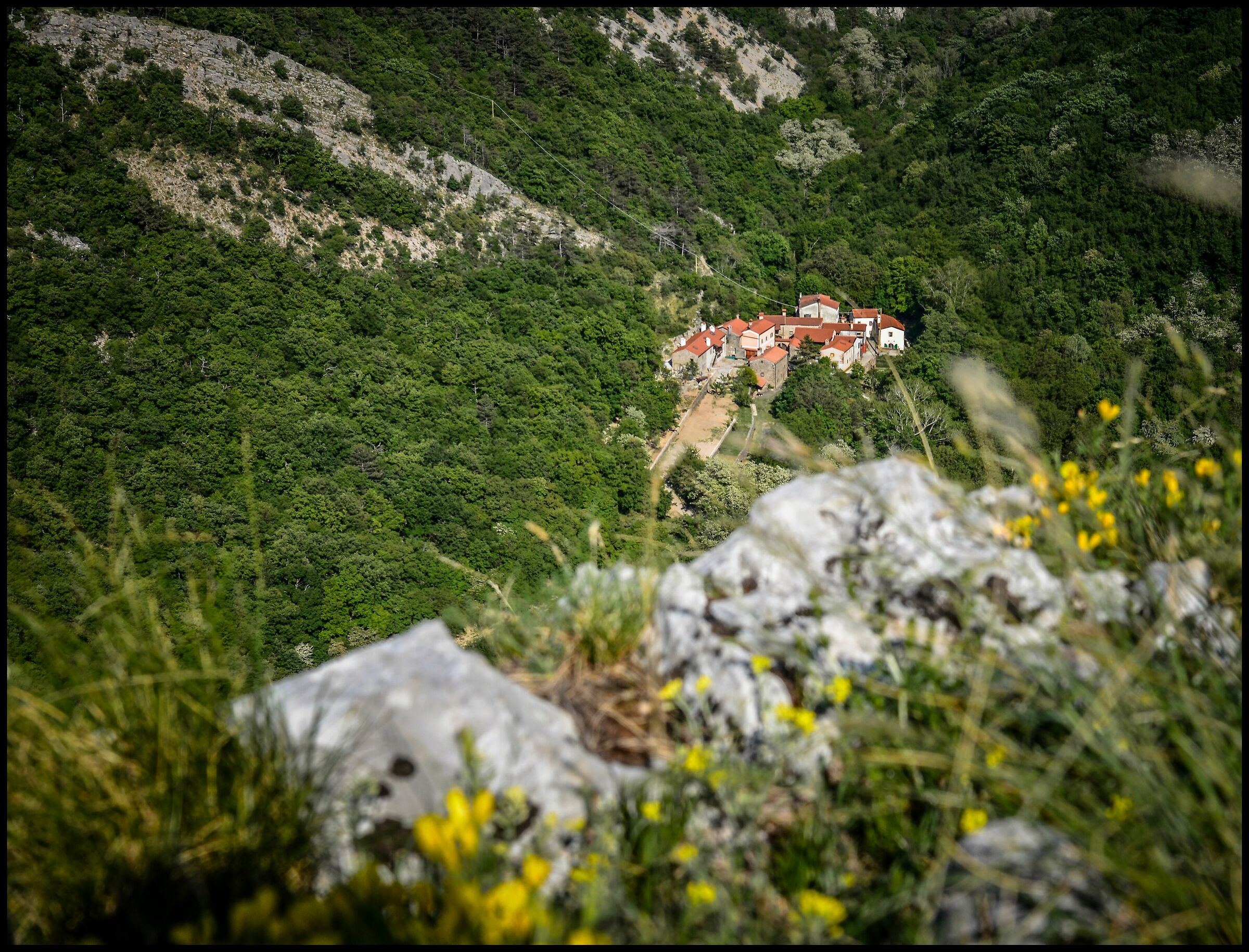 cocoon - Val Rosandra