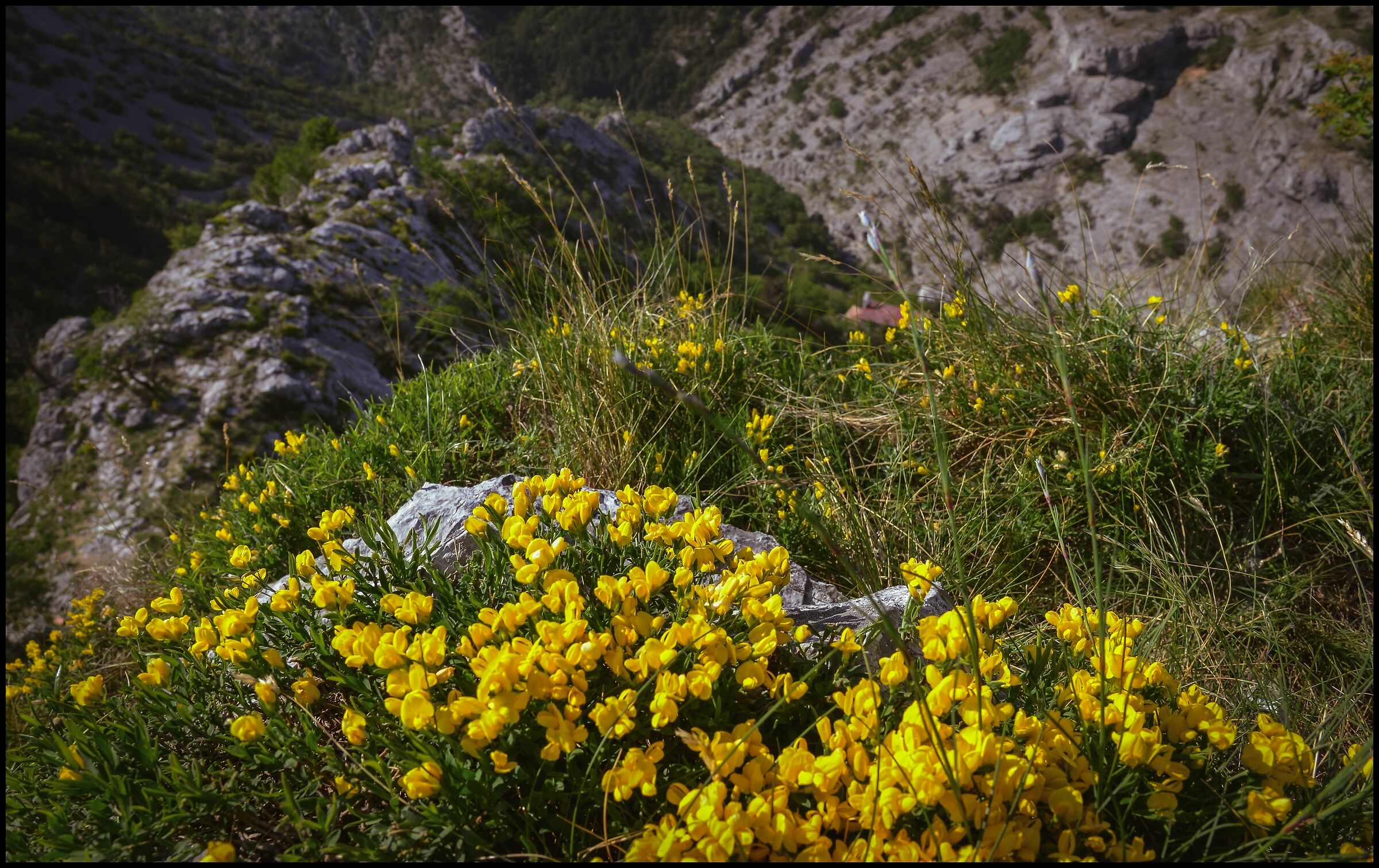view from Cippo Comici - Val Rosandra