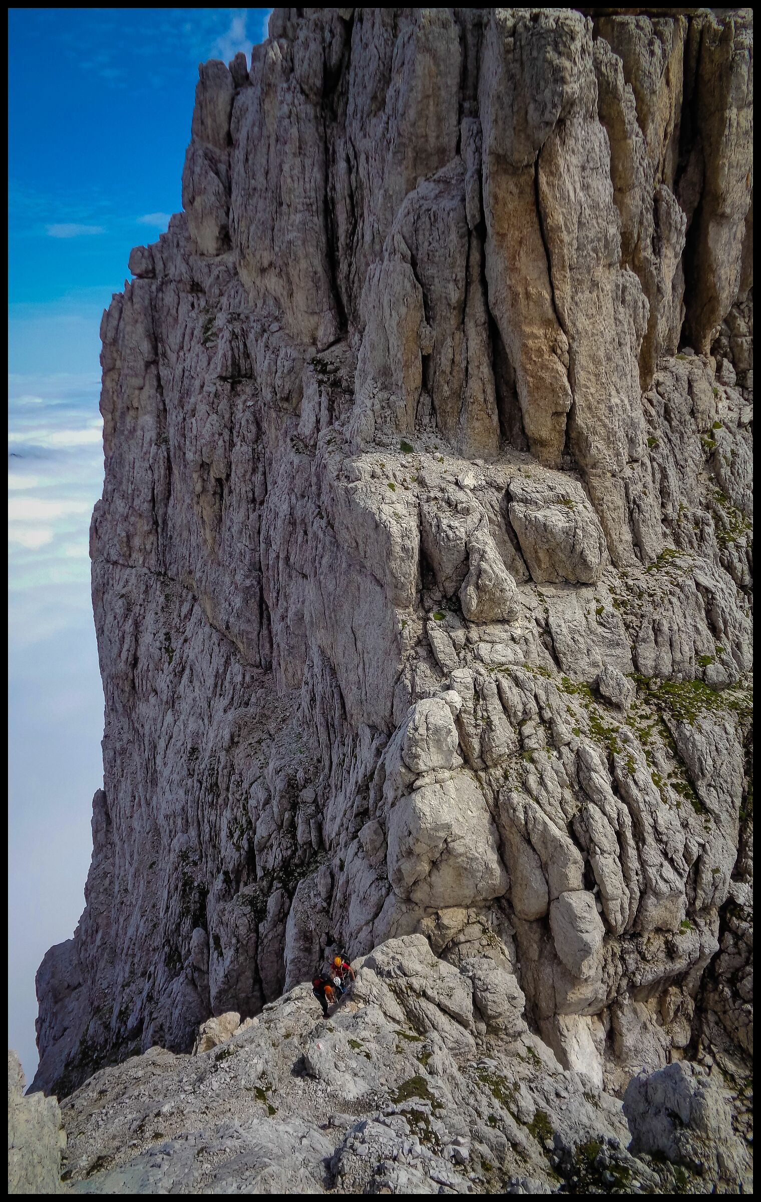 Anita Goitan - Aided Path - Jof Fuart