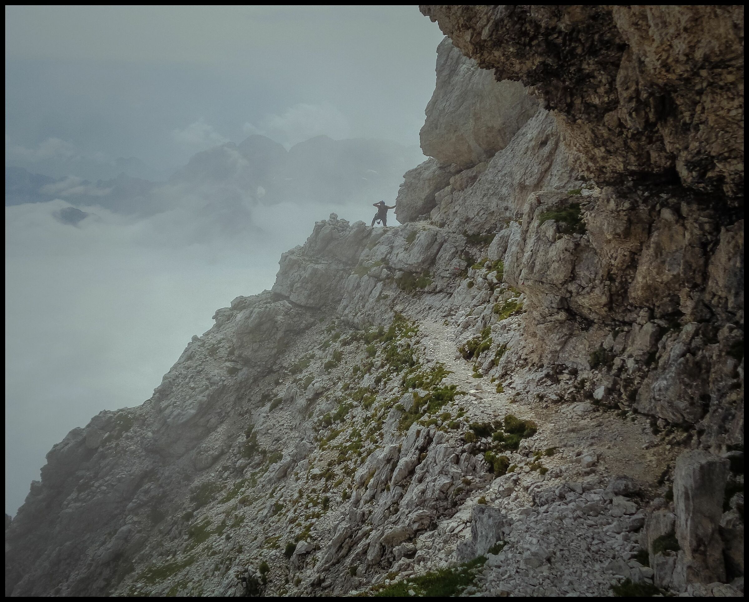 Anita Goitan - Aided Path - Jof Fuart