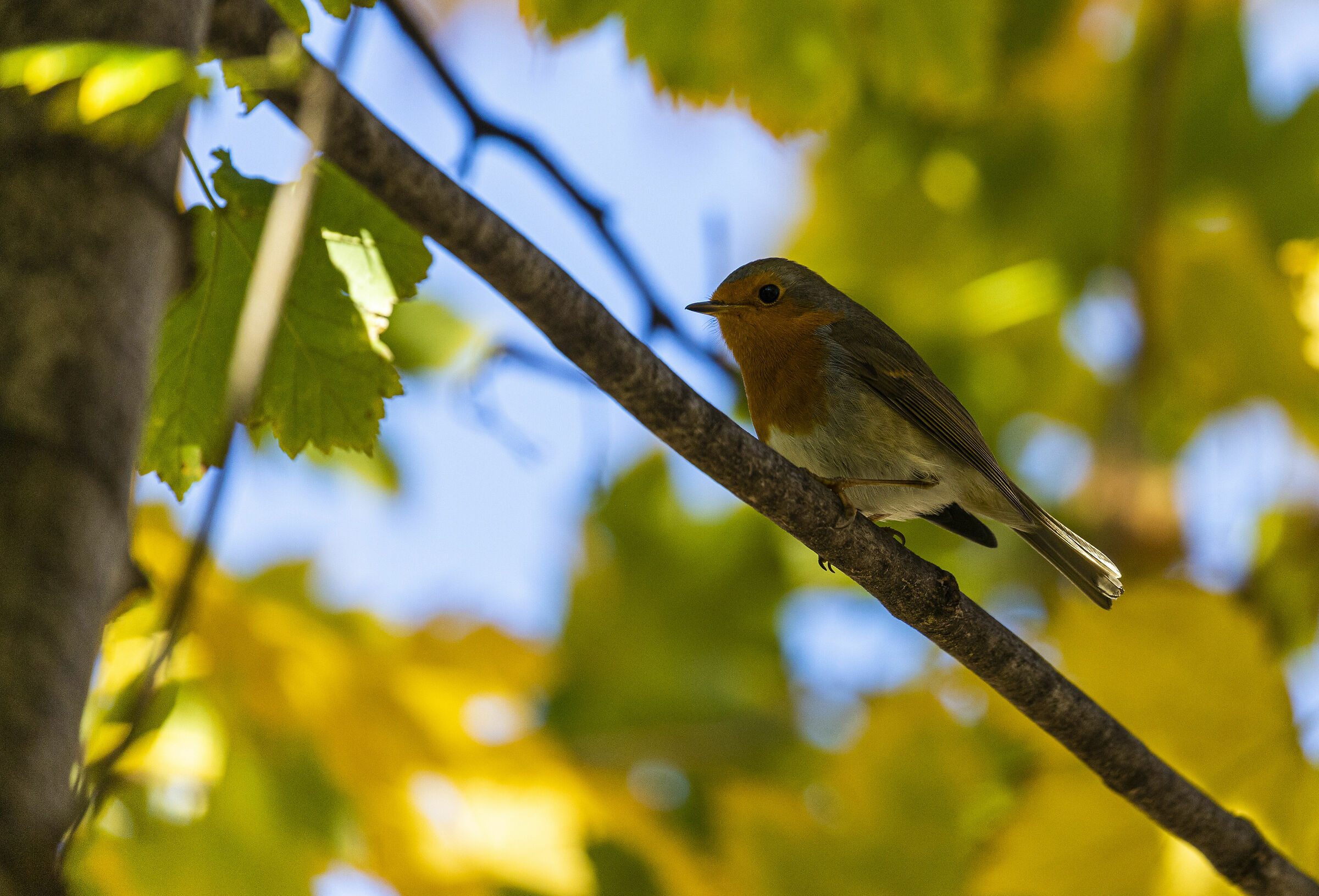 Tra un volo e l'altro