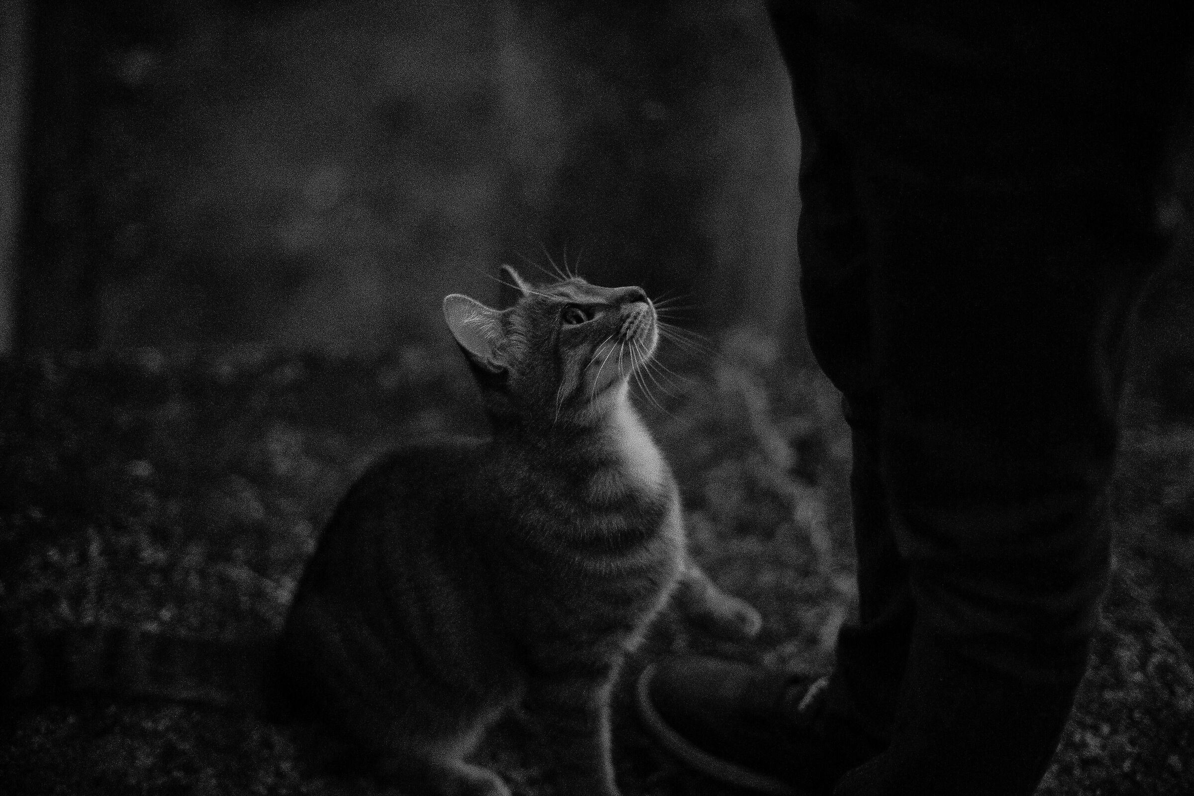 Untitled Photo