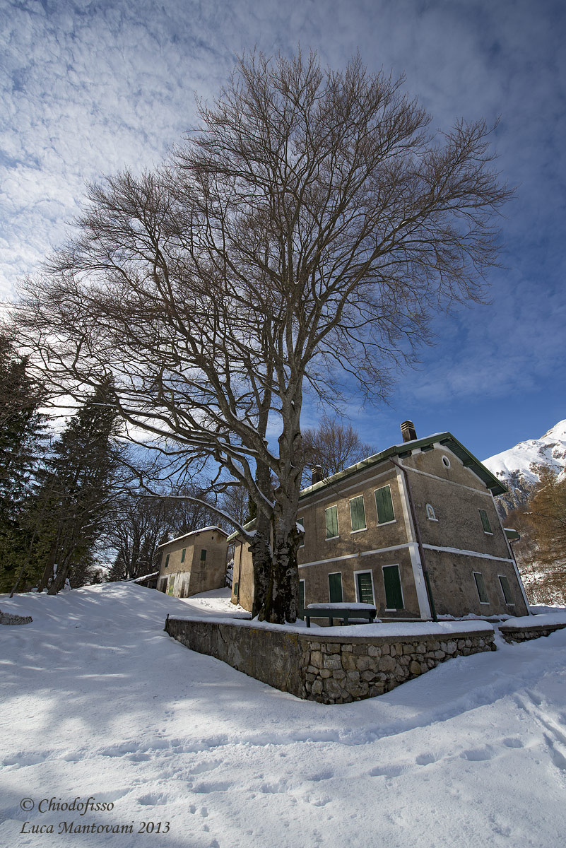 Gli alberi e il casale di montagna