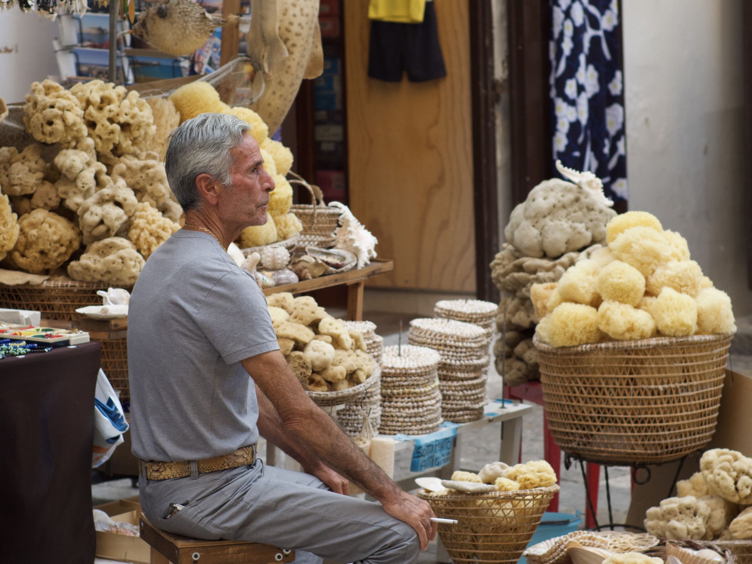 Sponge Seller