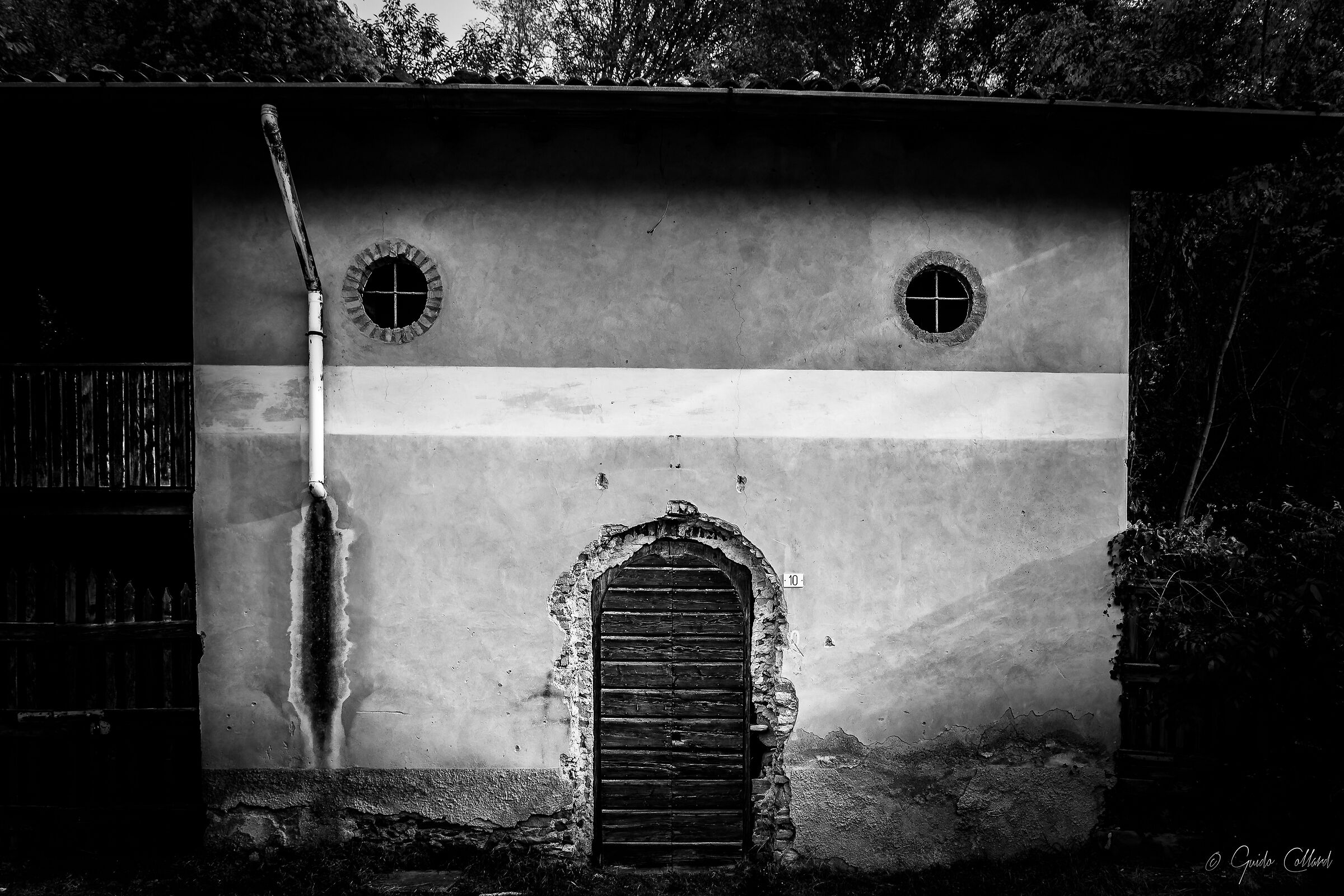 The House in the Forest