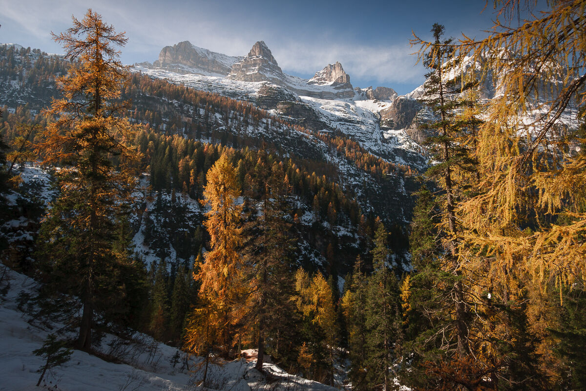 Tutti i pastelli d'autunno ...