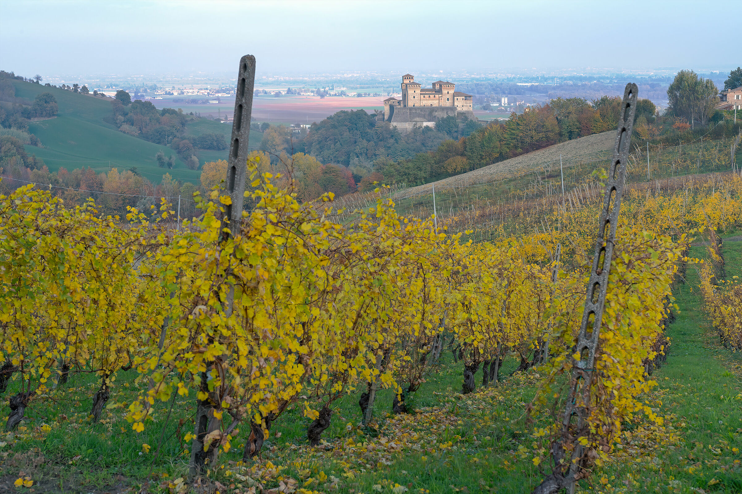 The castle of Torrechiara among the vineyards