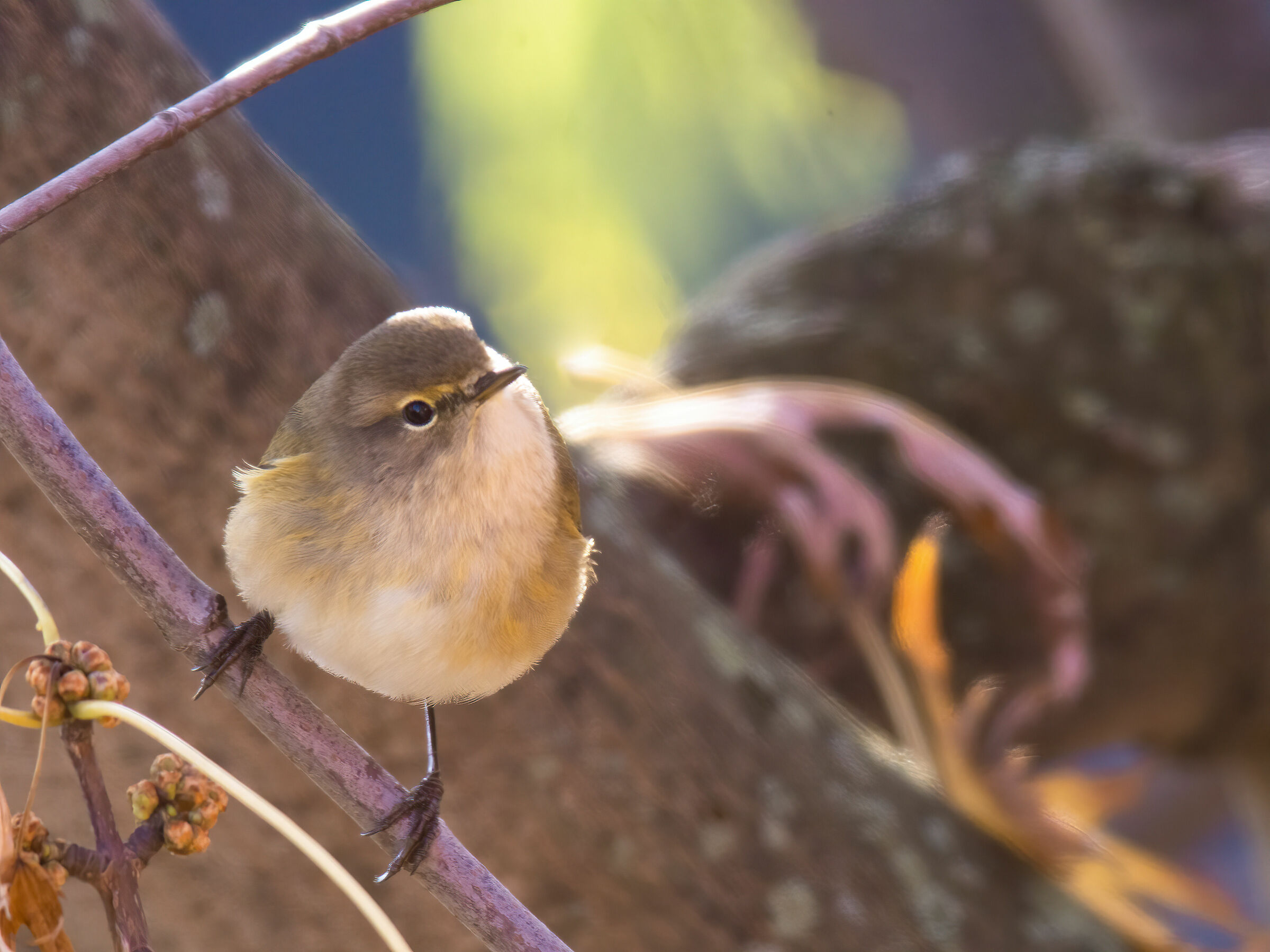 A tu per tu dal balcone