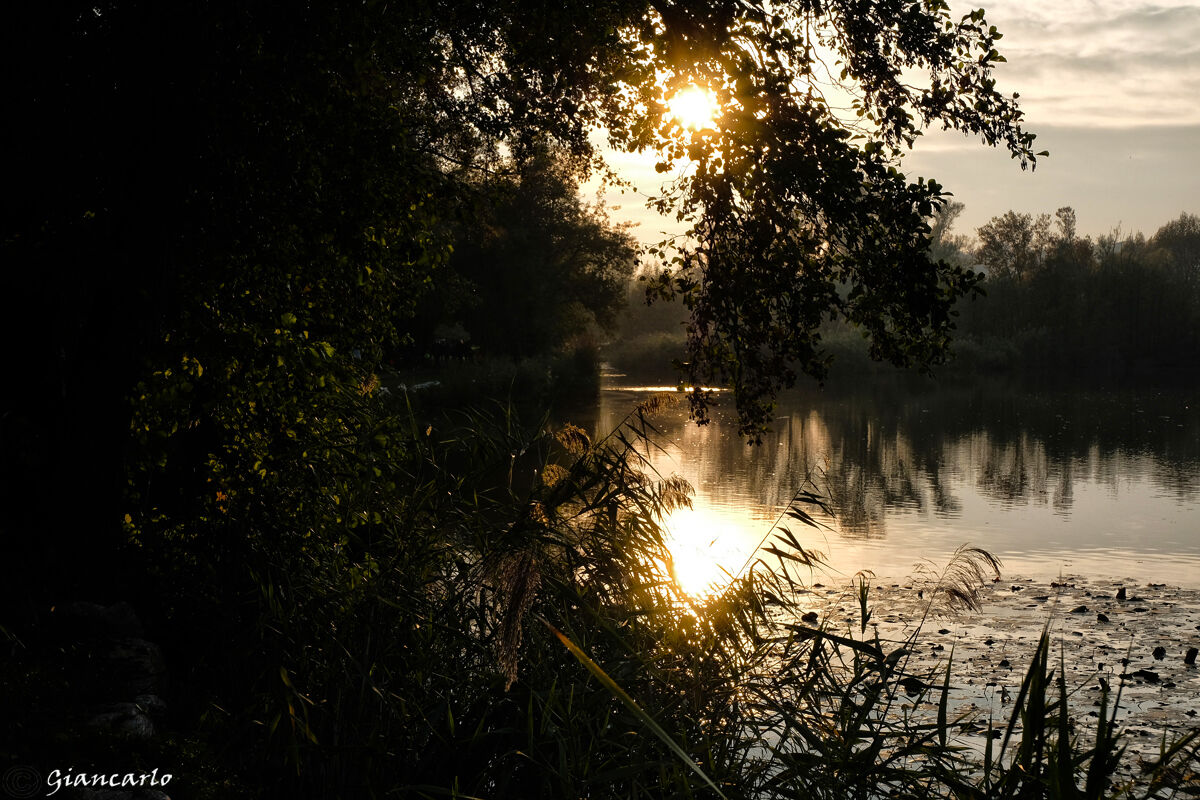 Luci d'Autunno