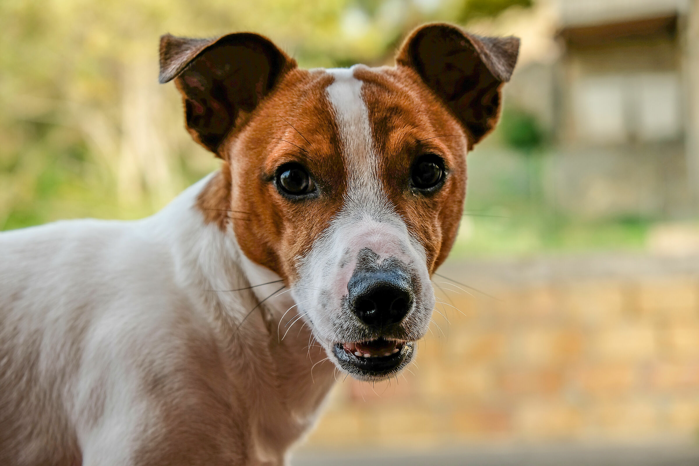 ...e ora cosa posso distruggere?