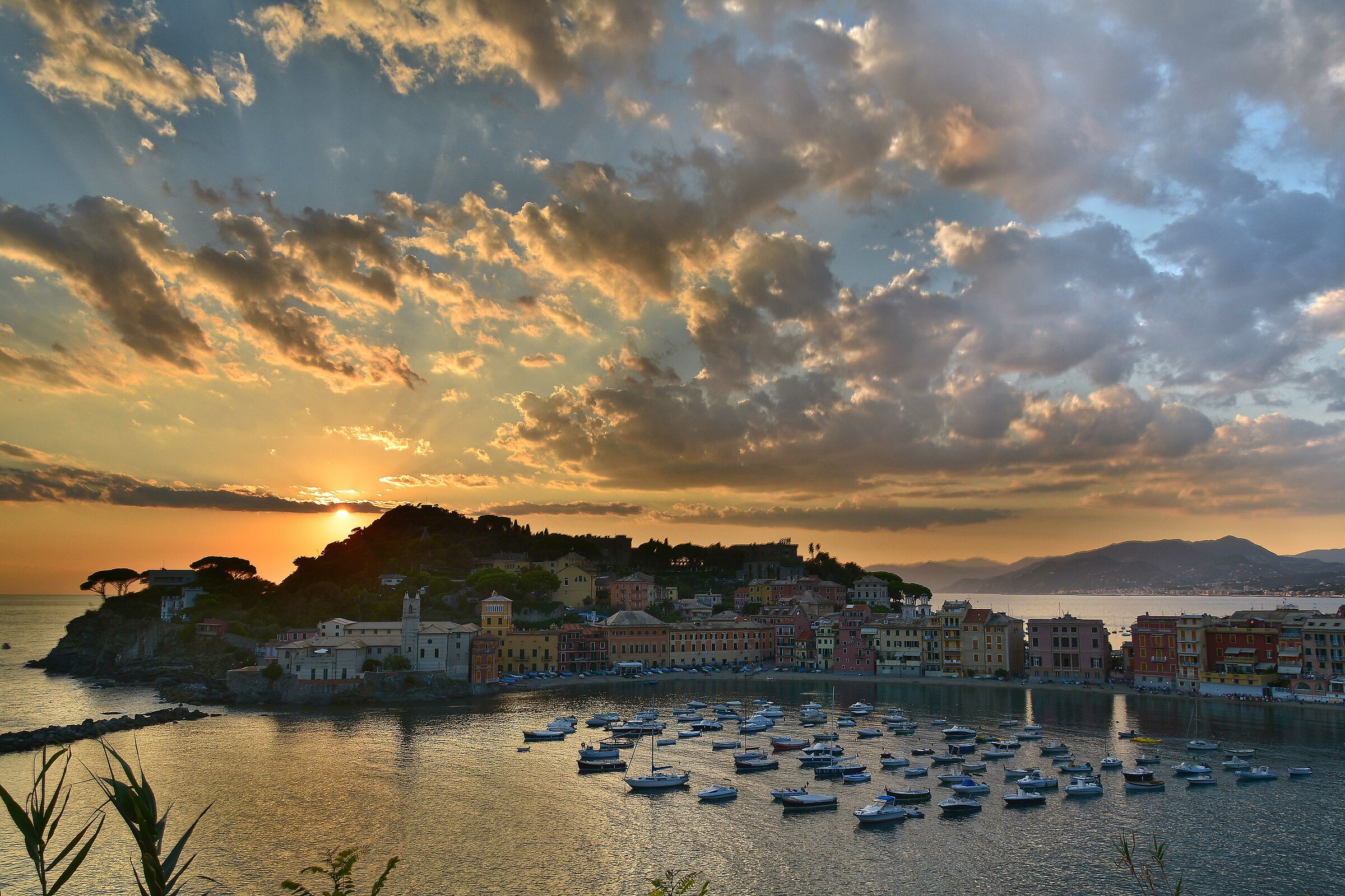 ricordo d'estate senza covid