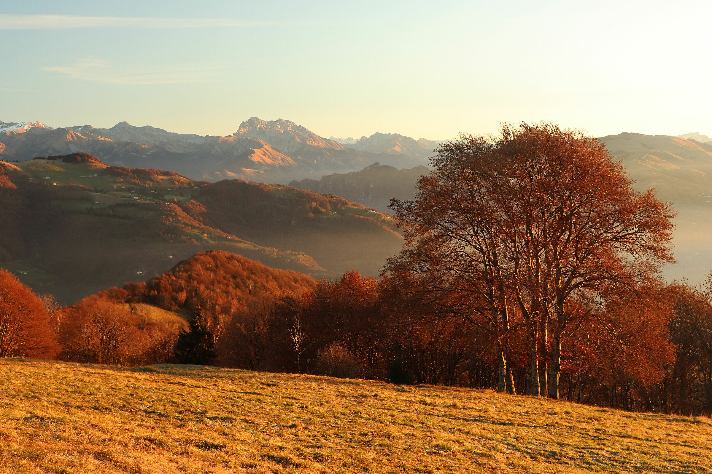 accarezzati dal sole