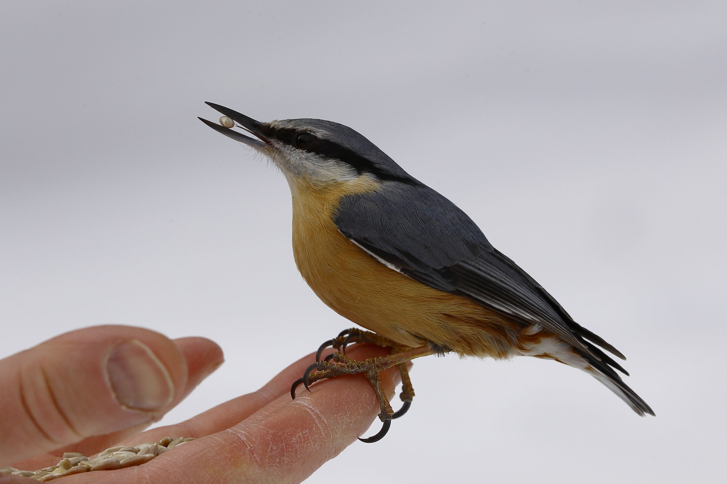 Che sensazione bellissima