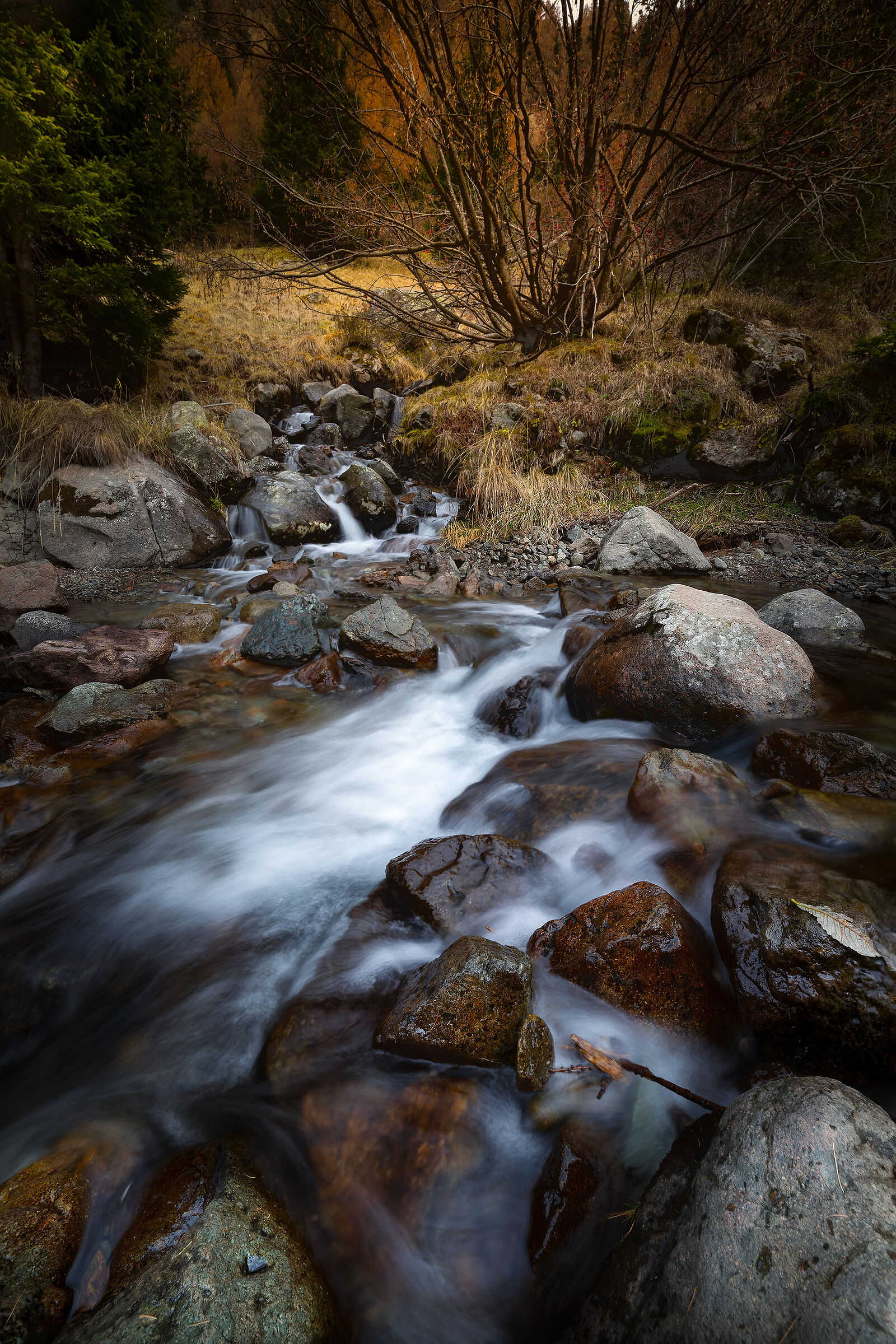 acqua