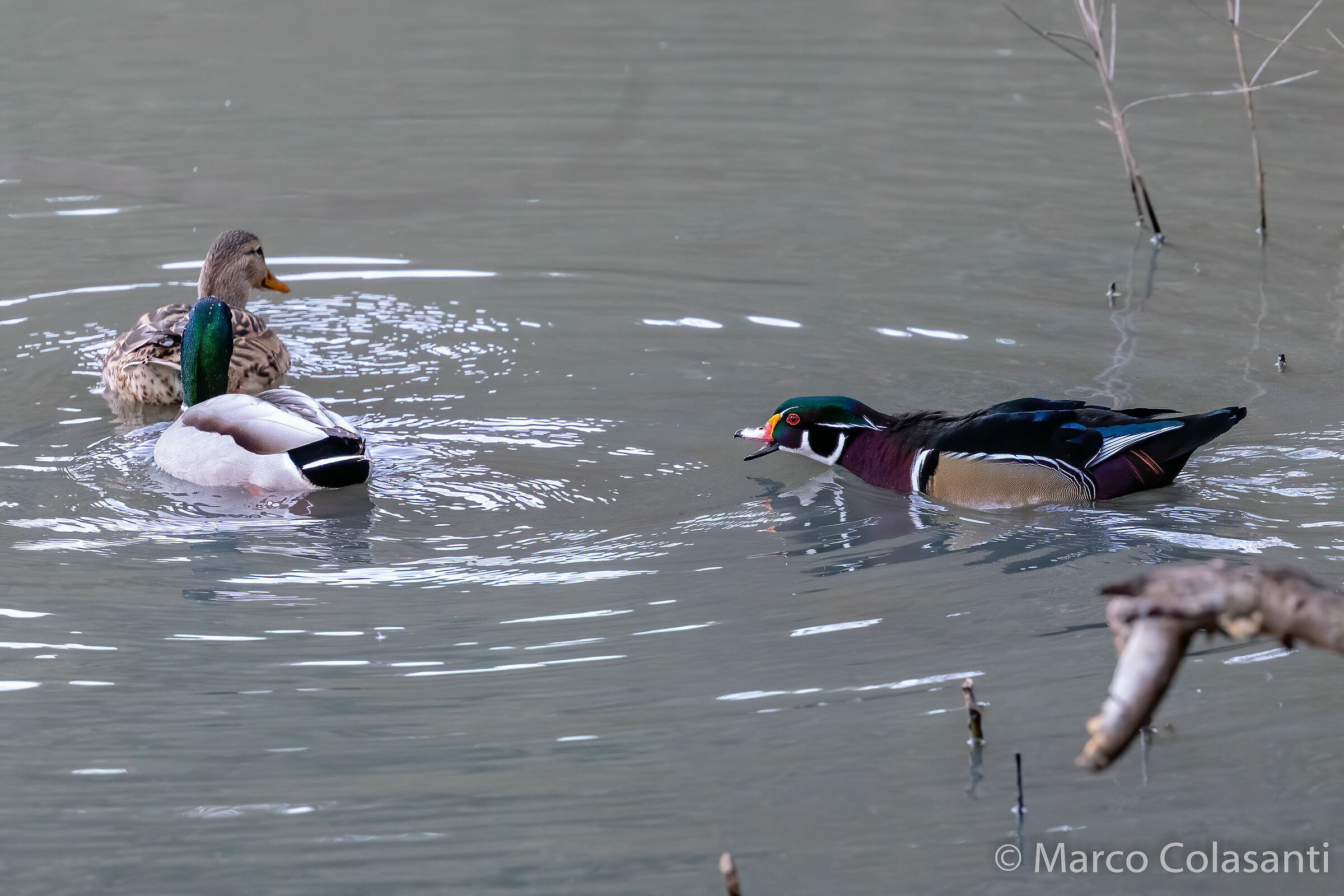 Questo è il mio posto....