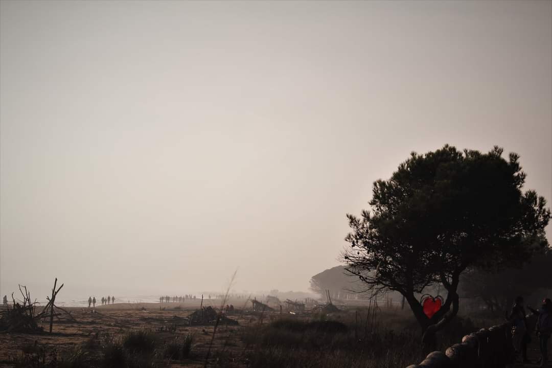 Cuore nel deserto