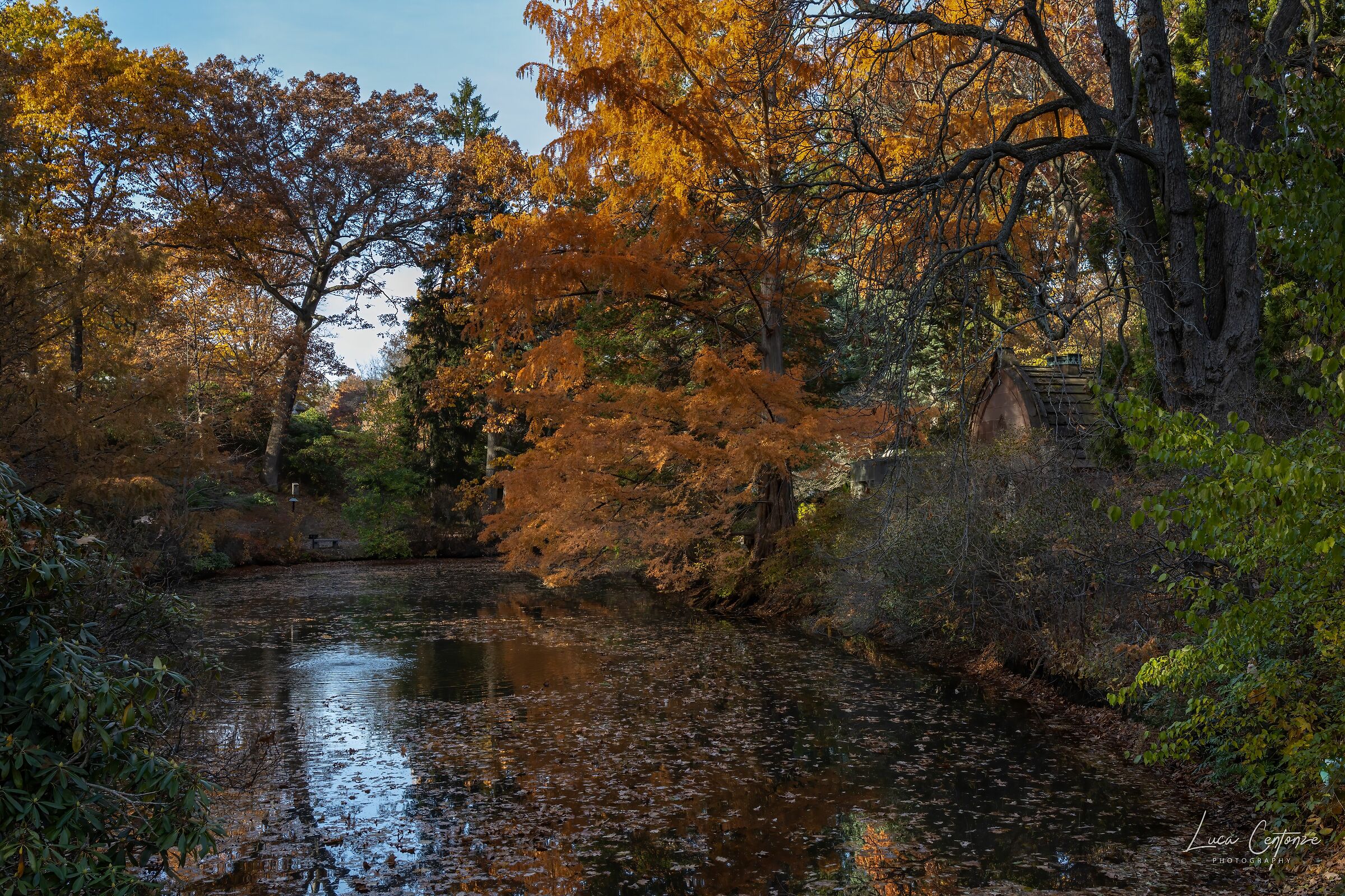 Mt. Auburn Cemetery (Cambridge MA)
