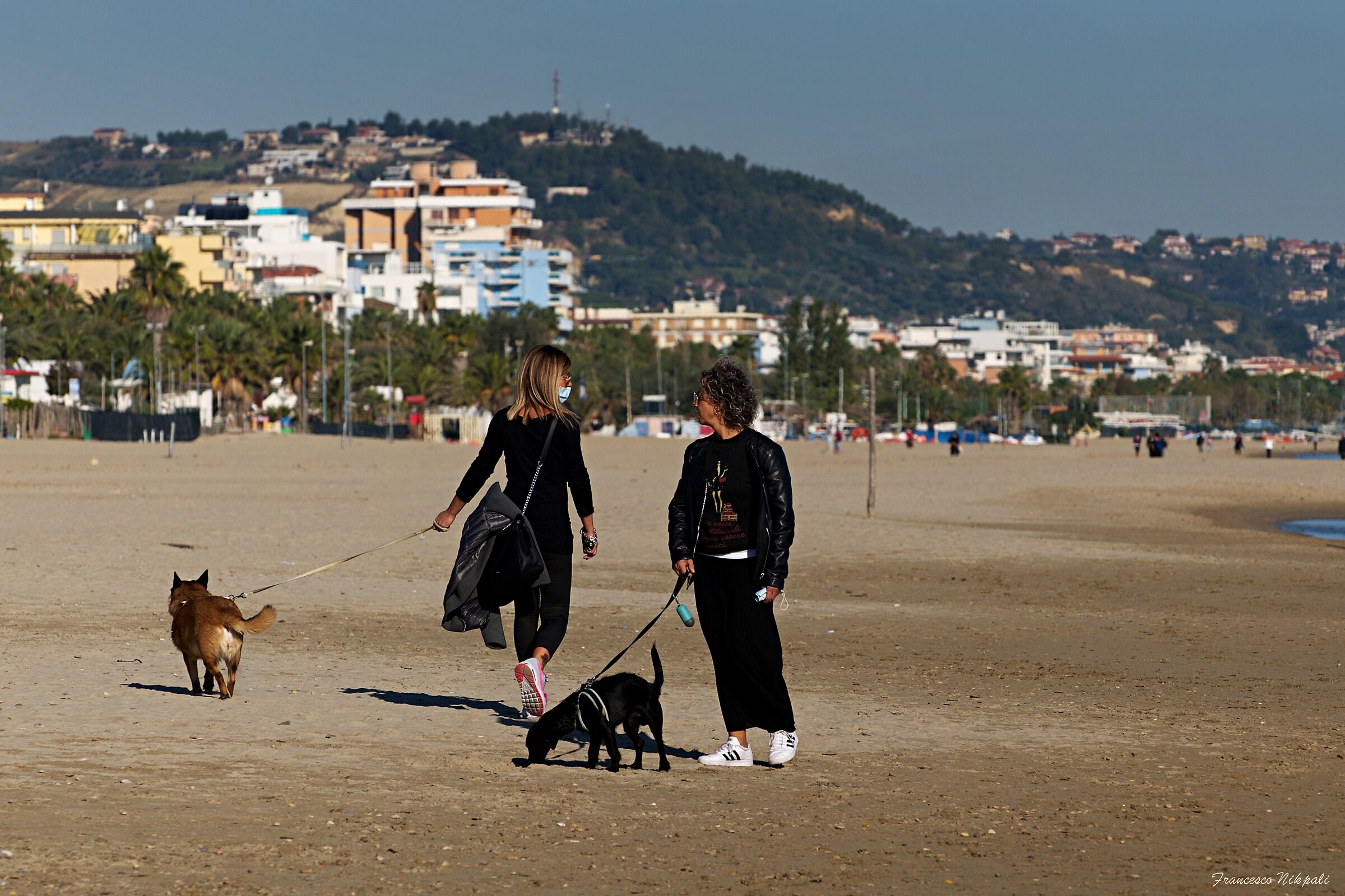 Necessity and apology