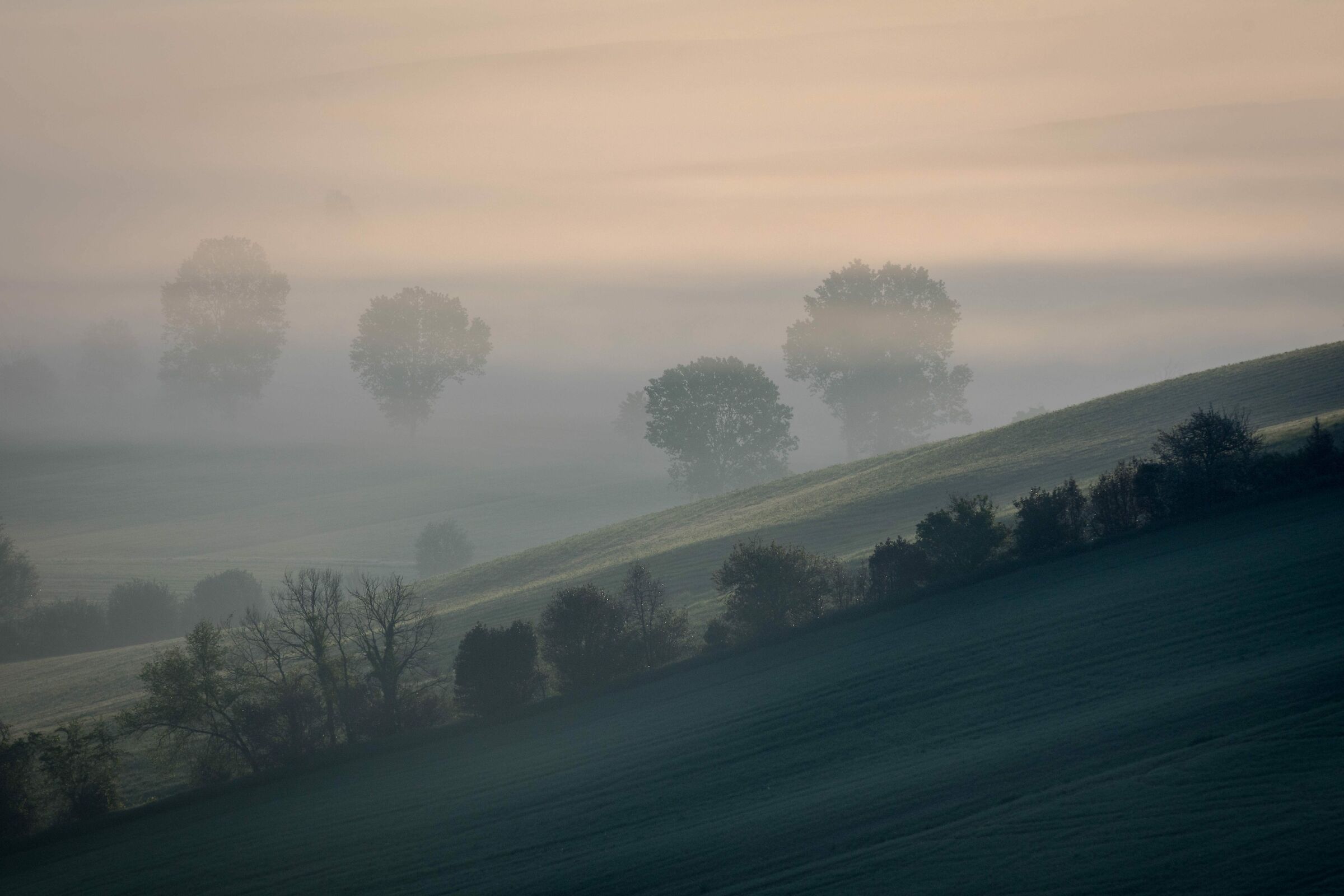 Muffled landscape