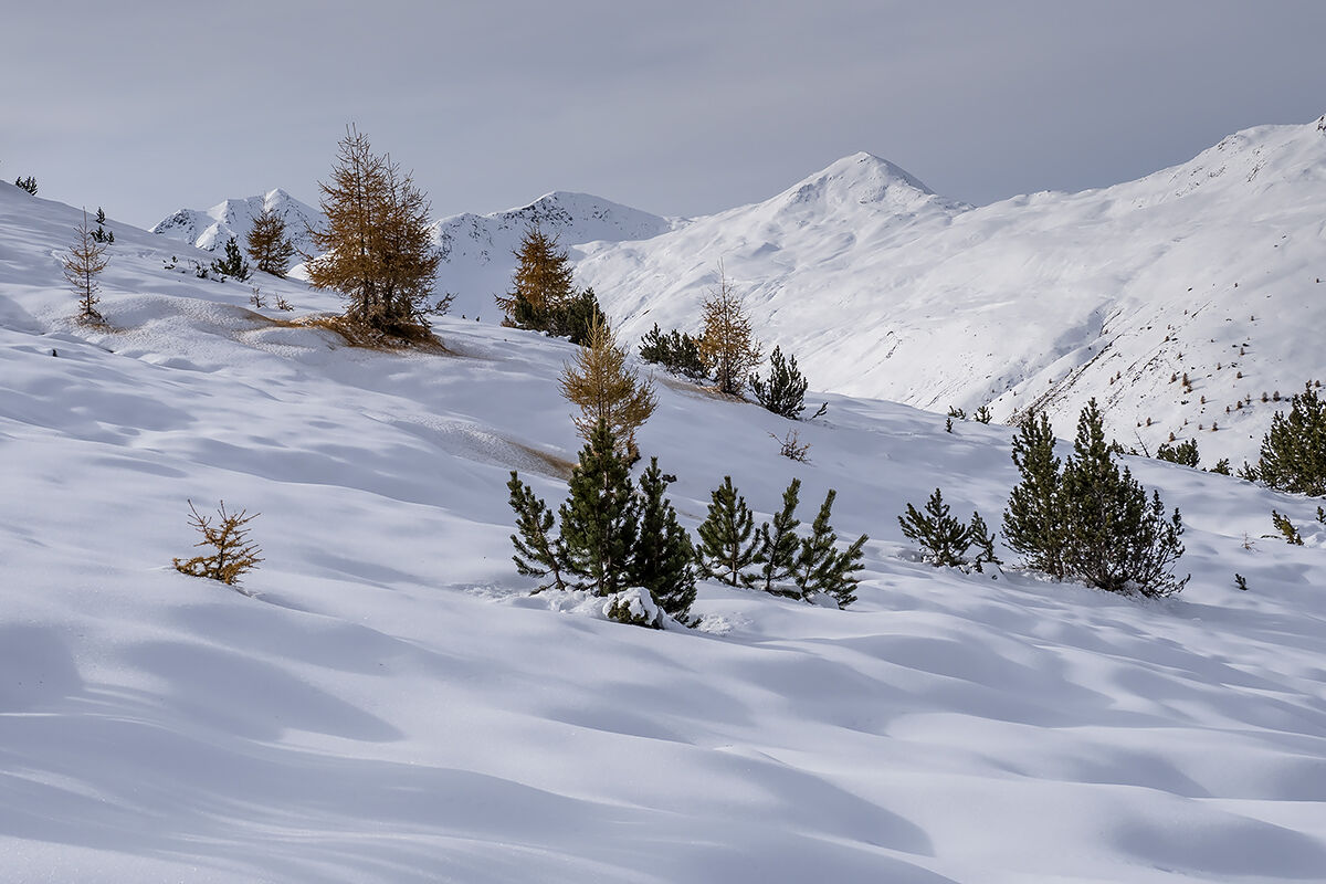 Onde di neve
