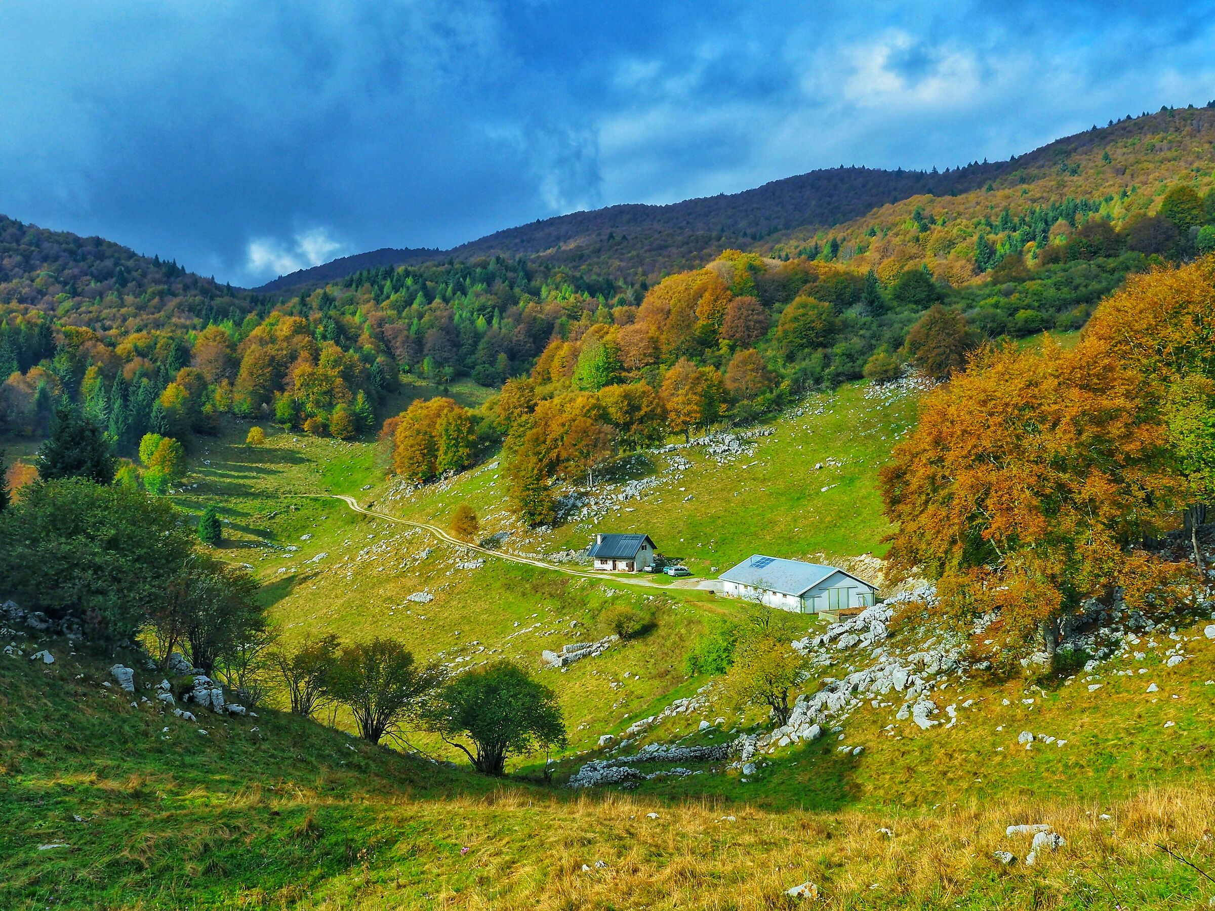Malga fossa di sarone